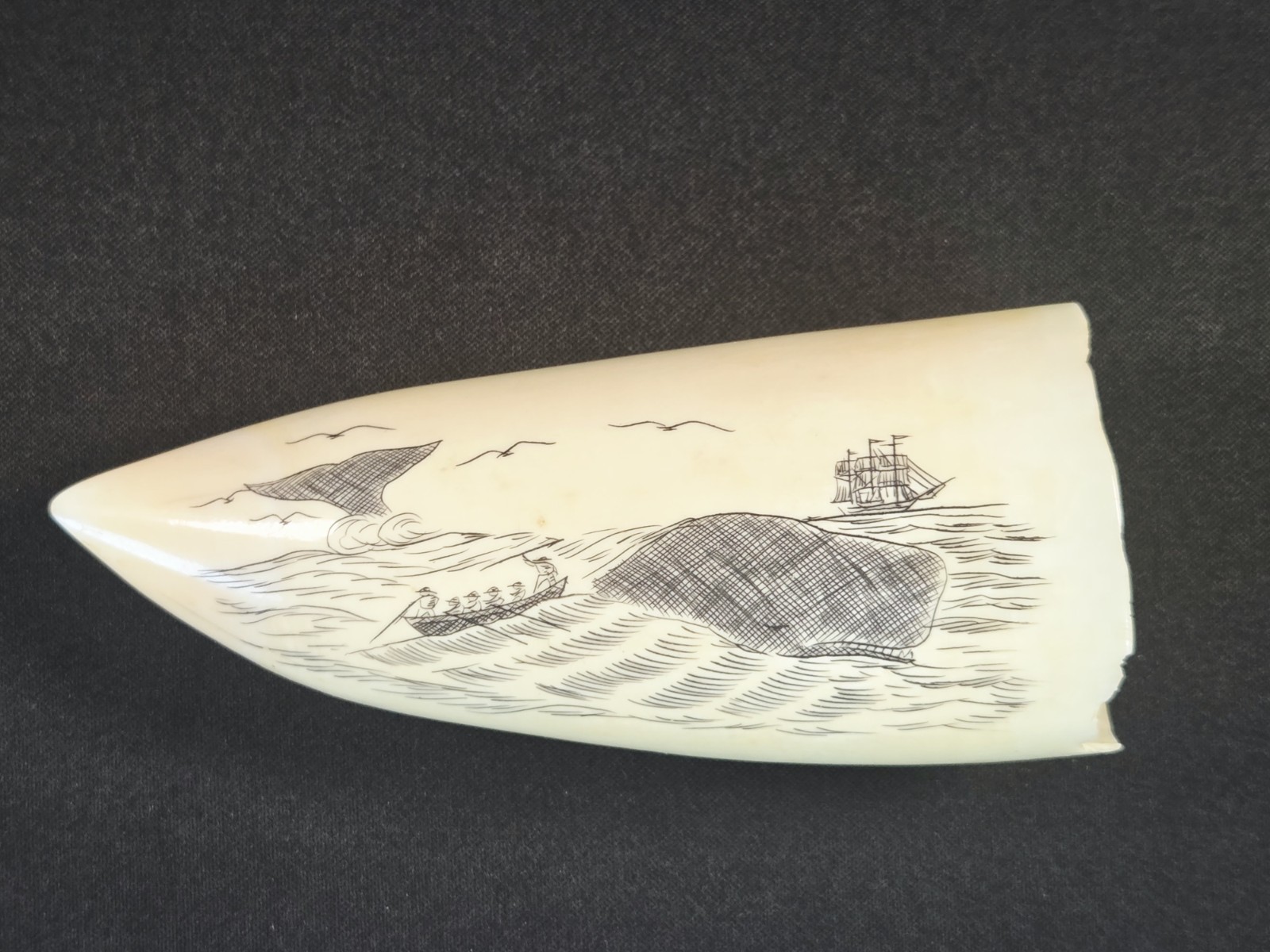 Antique Scrimshaw Style Engraved Animal Horn Whale Whaling Ship Maritime Art 4