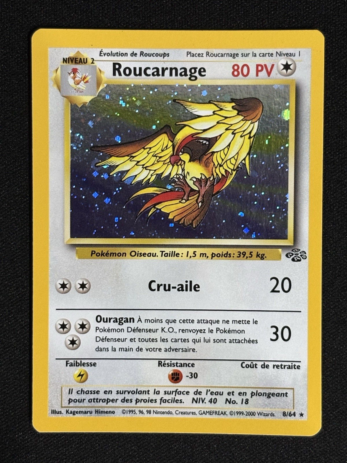 Pidgeot Holo Roucarnage 8/64 Jungle Set French Edition Vintage Pokemon Card 2000