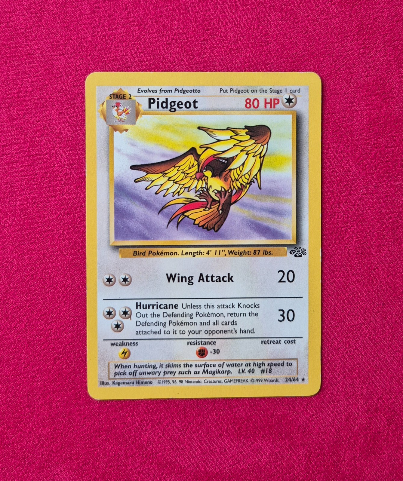 Pidgeot - LP - Jungle - 1999 - Vintage #24/64 - Pokémon