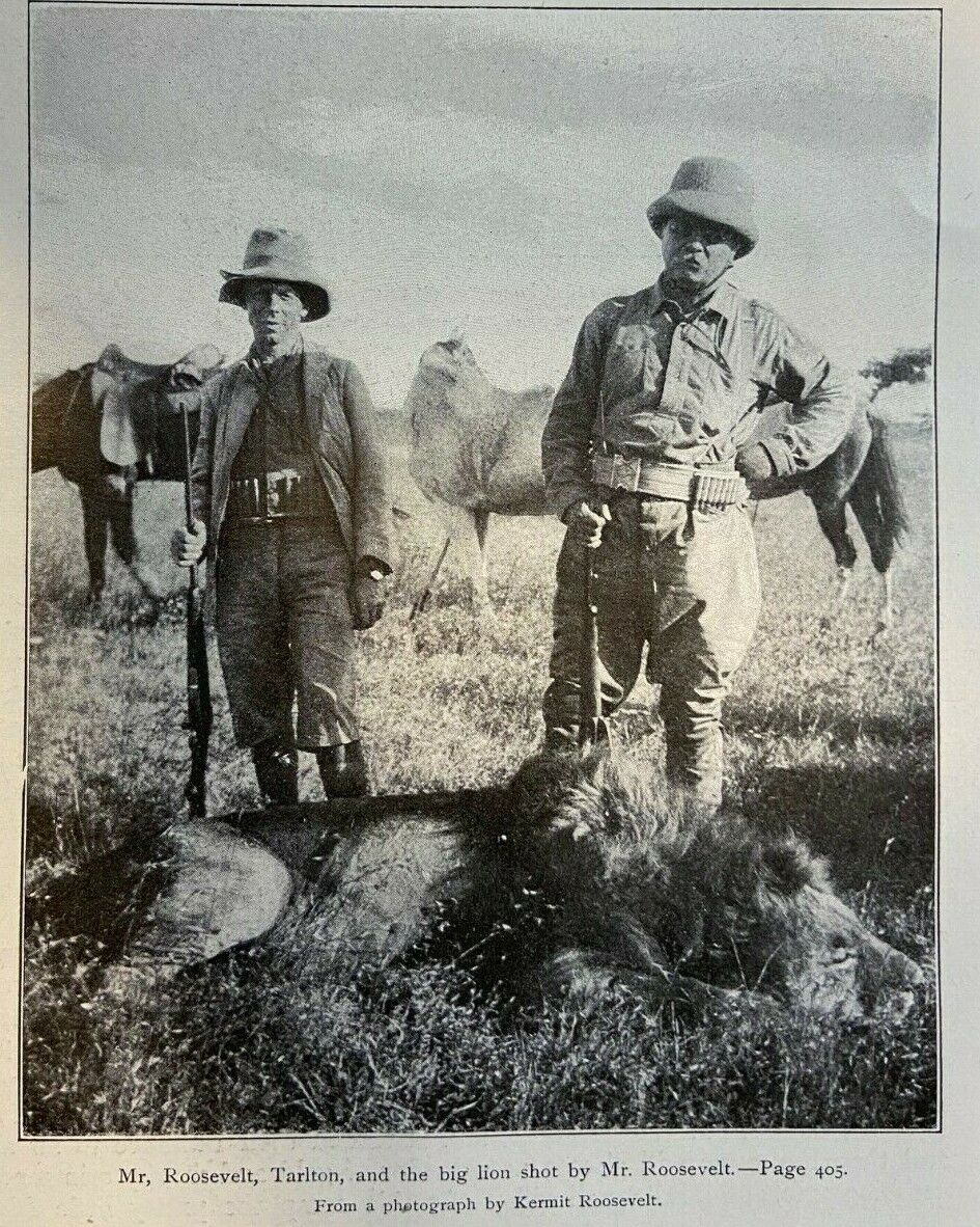 1909 Theodore Roosevelt Africa Big Game Hunting in the Sotik illustrated