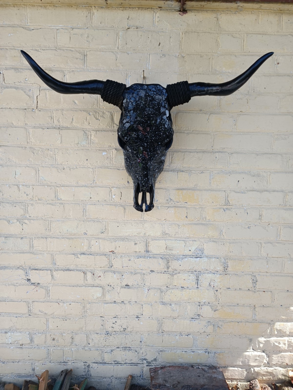 Real bull skull. Wall decor. Cow skull.