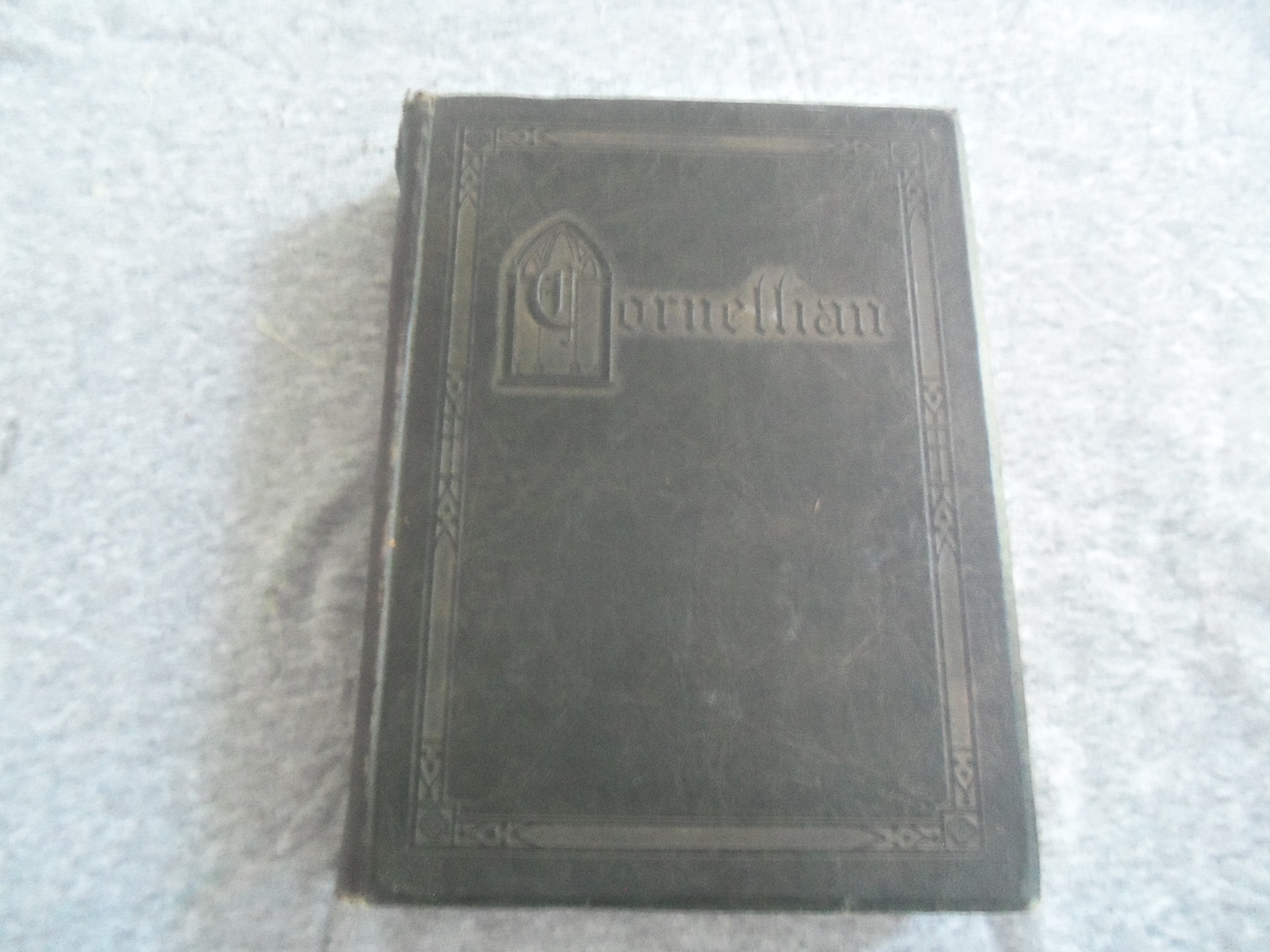 1925 THE CORNELLIAN CORNELL UNIVERSITY YEARBOOK - ITHACA, NEW YORK - YB 2912