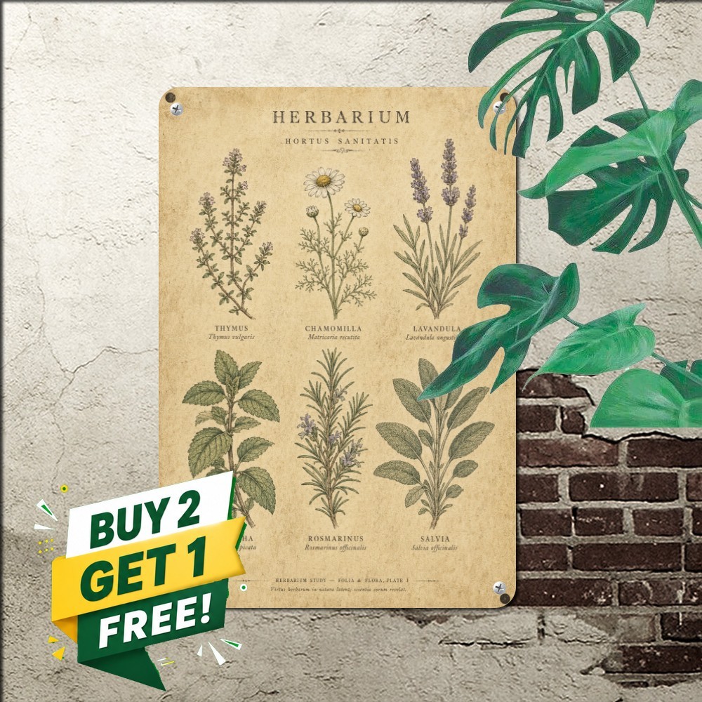 vintage botanical herb chart six hand drawn sprigs