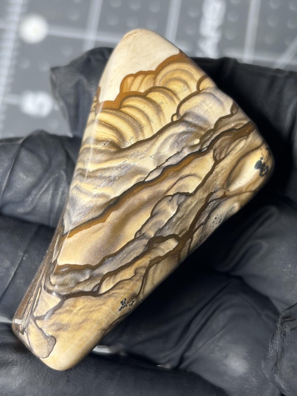 Rare Blue Biggs Picture Jasper Polished Specimen Oregon Scenic Patterns