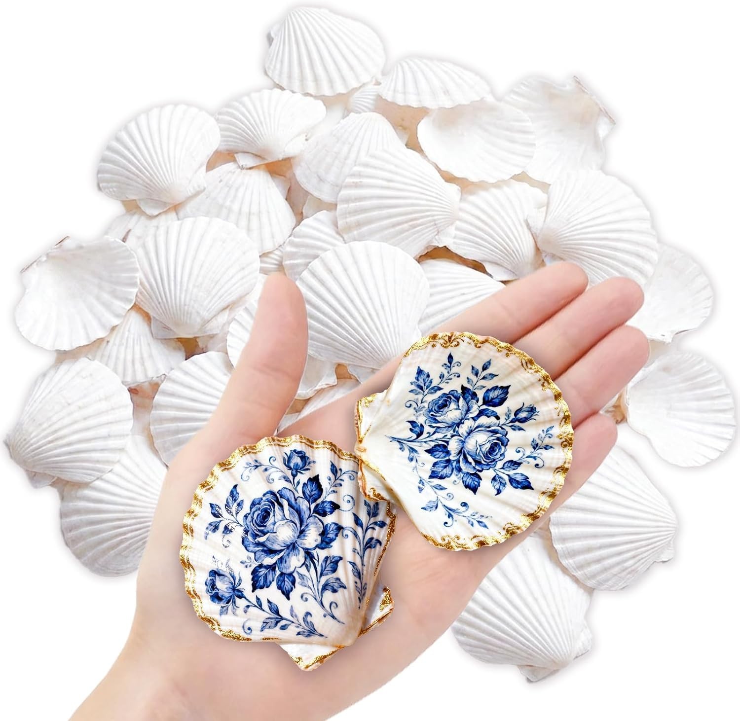 60PCS Natural Scallop Shells for Crafts, 2-3 Inch White Sea Shells