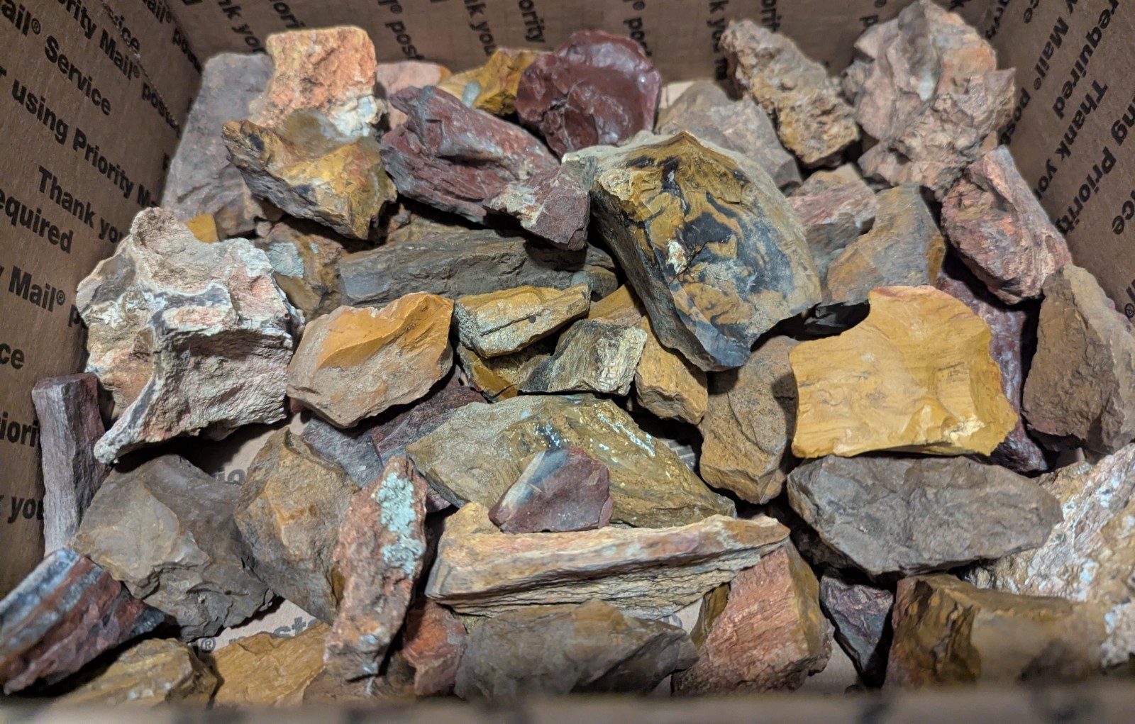 26+ lb Colorado Petrified Wood Bulk Rough – Parker Divide Med Flat Rate Box Full