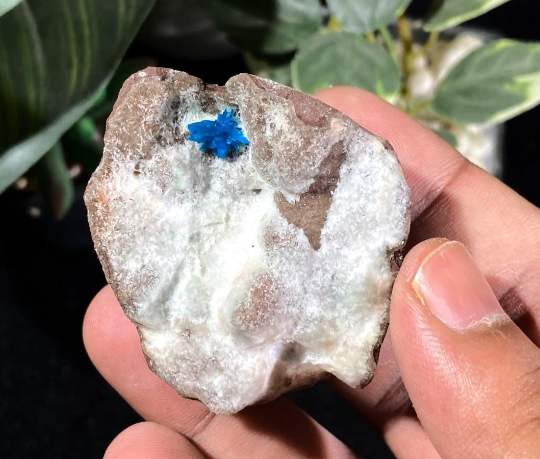 AAA Grade Blue Cavansite on Stilbite Minerals Matrix from India 68g