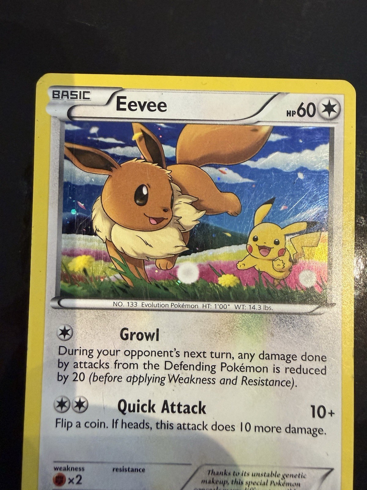 Eevee BW97 Black Star Promo Holo 2013 Pokemon Card Pikachu English