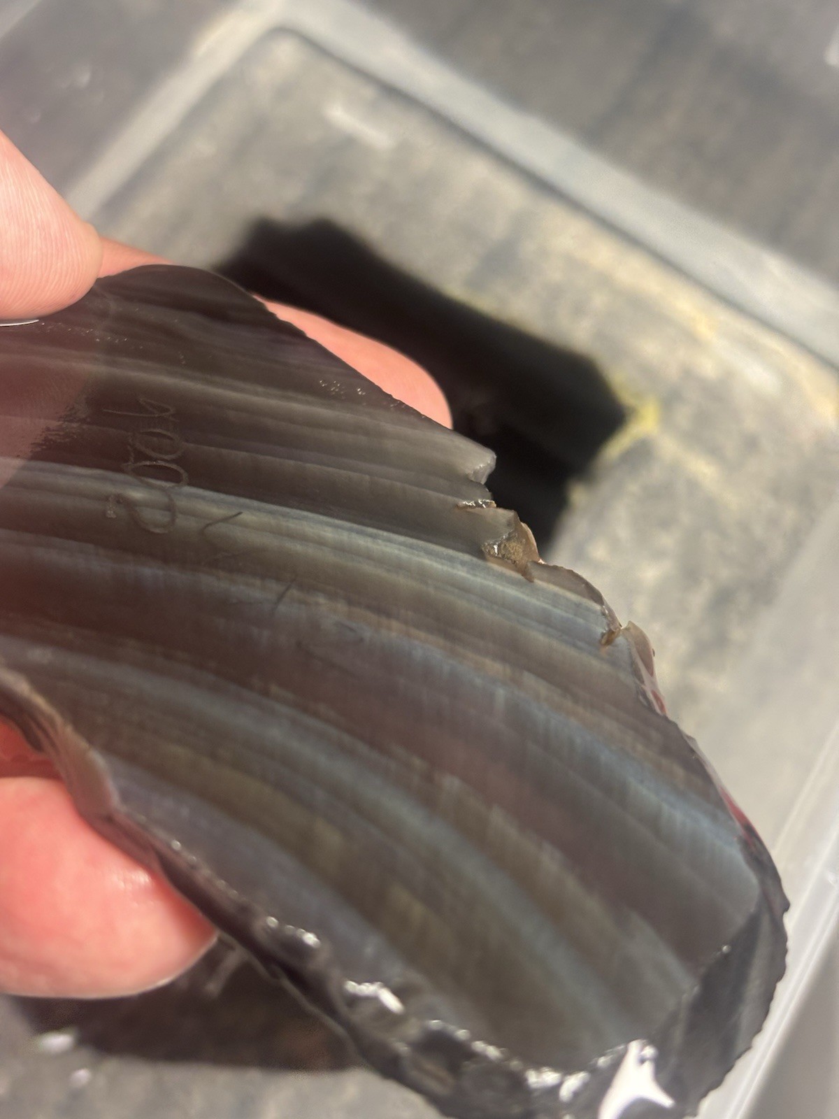 Rainbow Obsidian Slab For Flint Knapping 4 X 2 Nice Thick 1/4