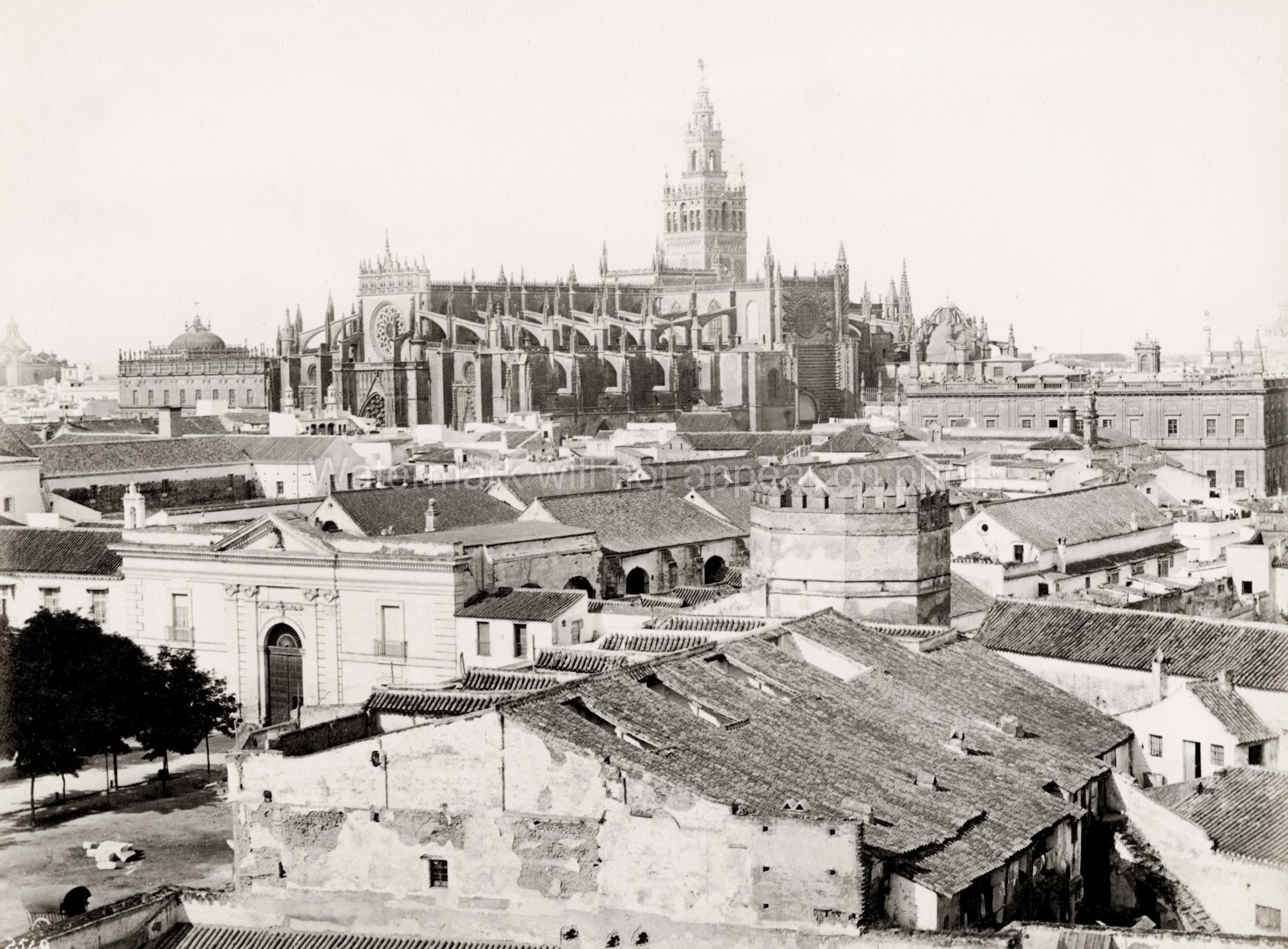 Seville Spain Cathedral Giralda Cityscape Rooftops Landmark Vtg. Photo 19thC.