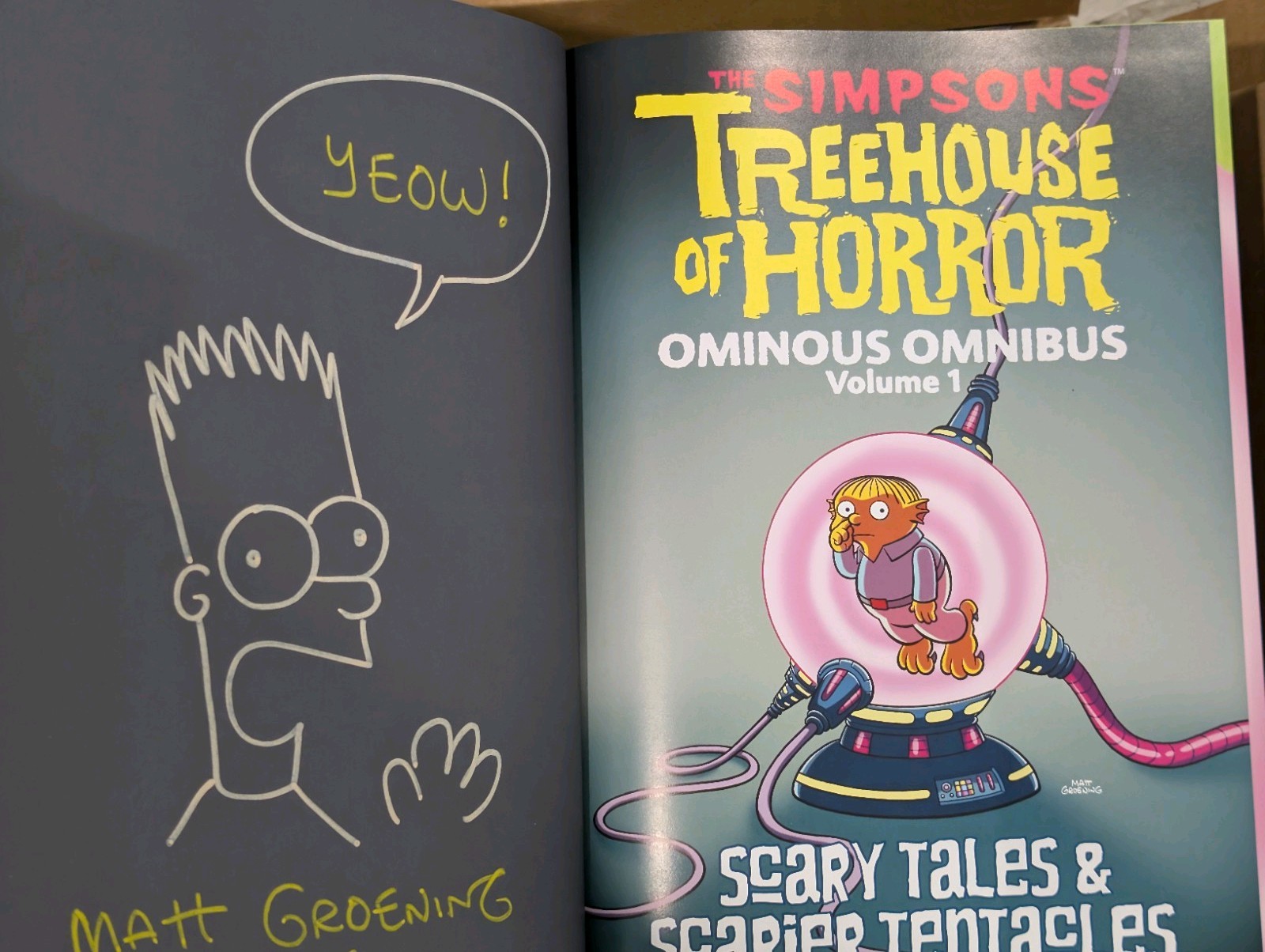 The Simpsons Treehouse Of Horror Complete LE /500 box Set MATT GROENING Sketched