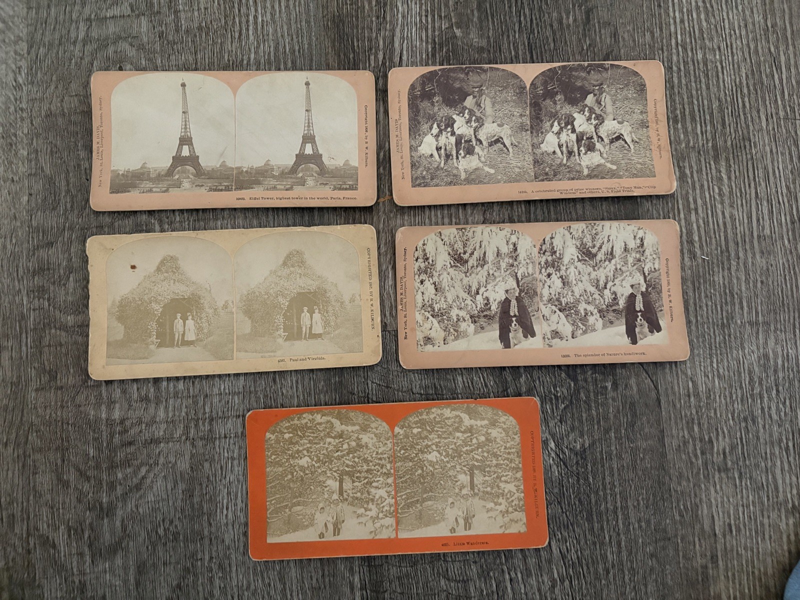 Lot of 5 Antique Stereoview Cards B. W. Kilburn 1890s 
