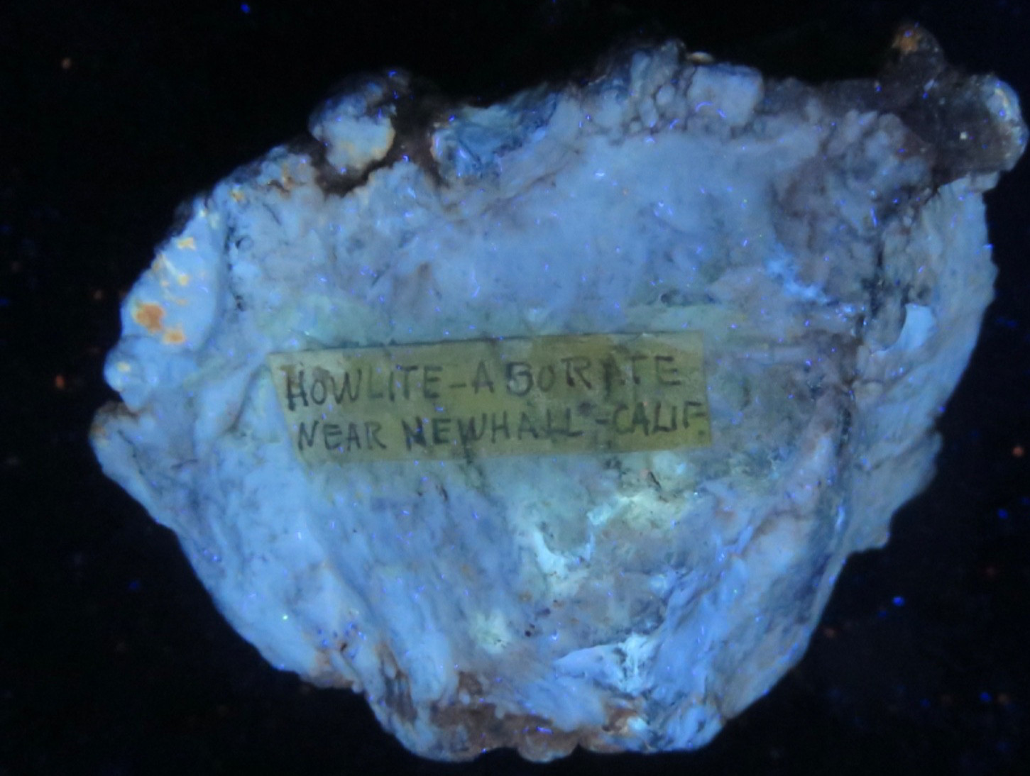 HOWLITE NODULE (fluorescent   - NEWHALL , CALIFORNIA