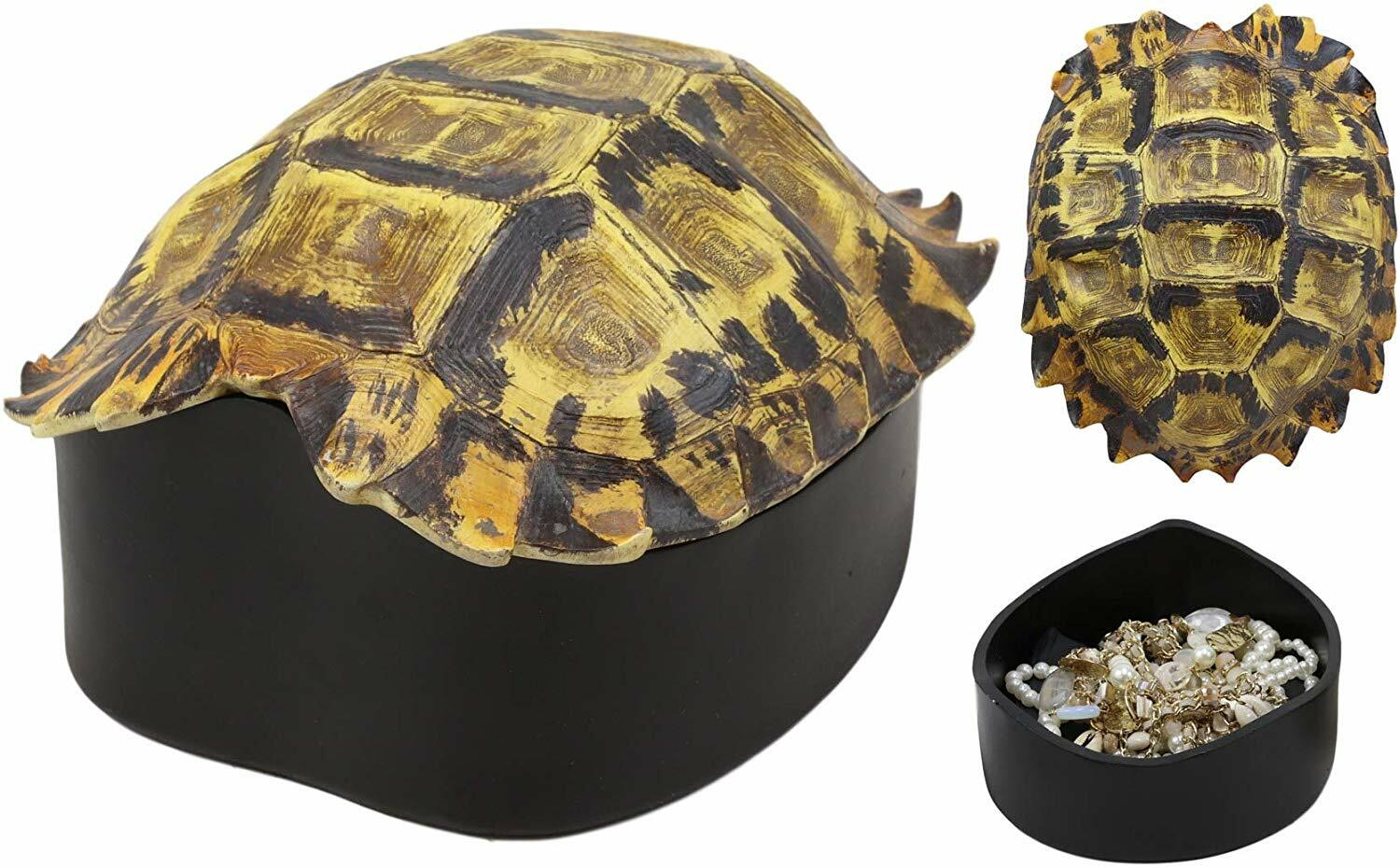 Nautical Reptile Realistic Elongated Tortoise Shell Decorative Box Figurine 8