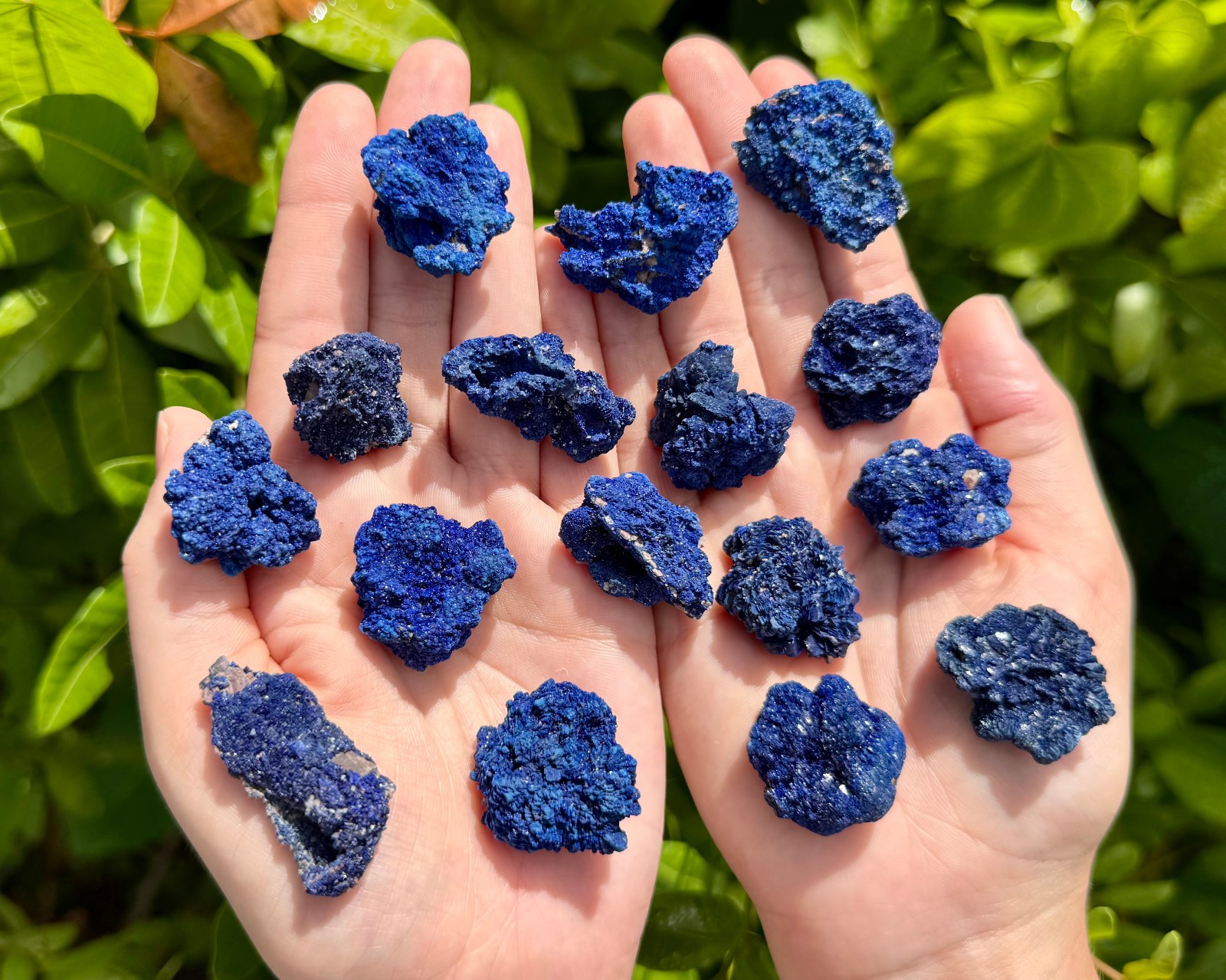 Vibrant Azurite Crystal Clusters, 0.75-1