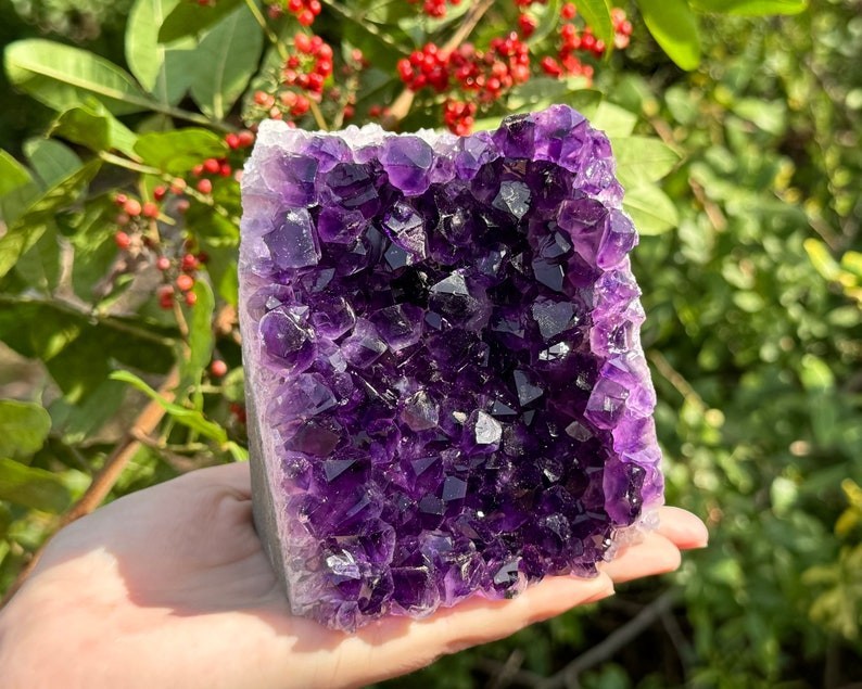 HUGE Uruguayan Amethyst Cut Base Clusters 1–1.8 lb 'A' Grade Free Standing Cryst
