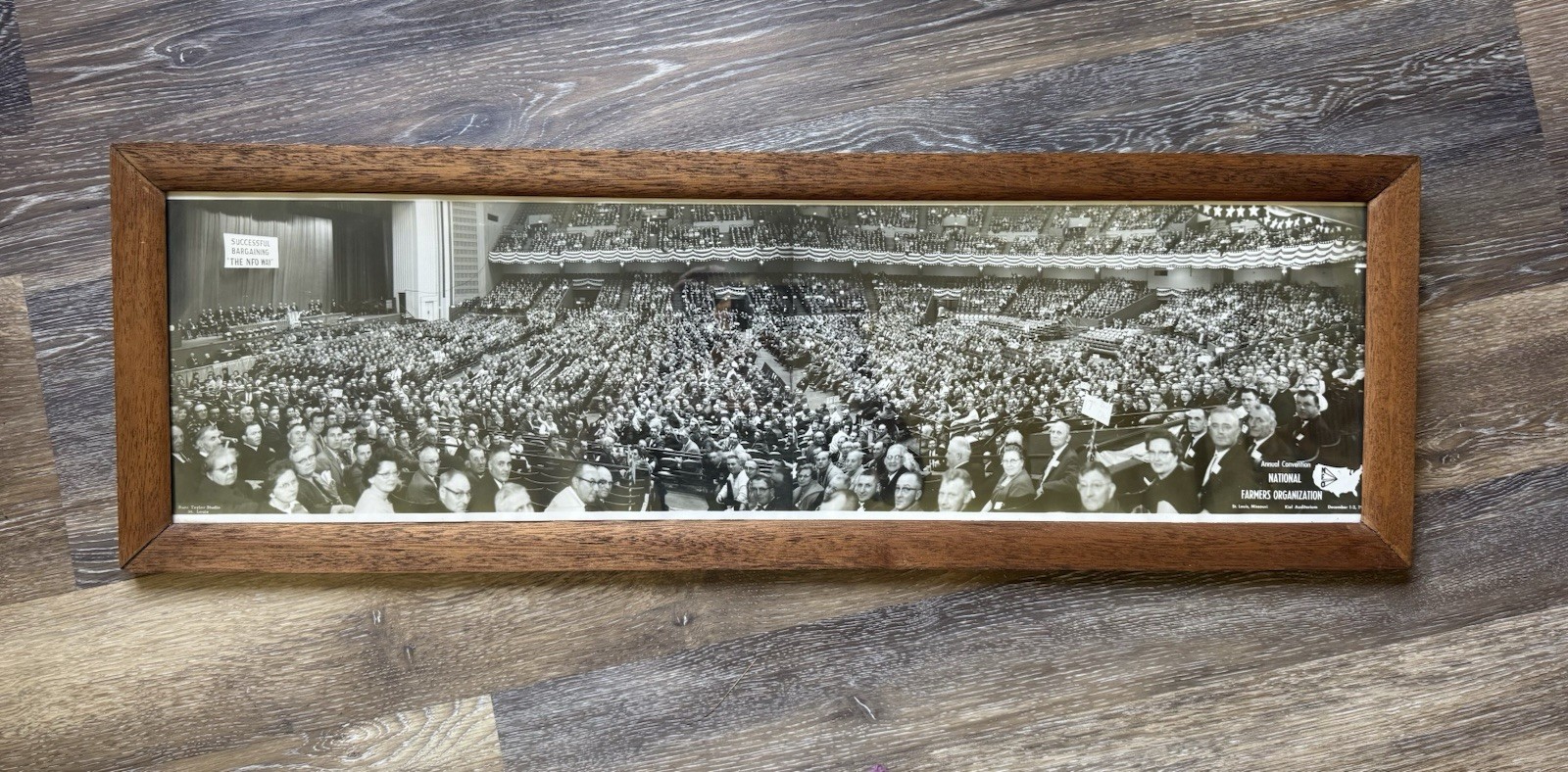 Vintage NFO National Farmers Organization Convention Panorama Photo NFO 36” Ag