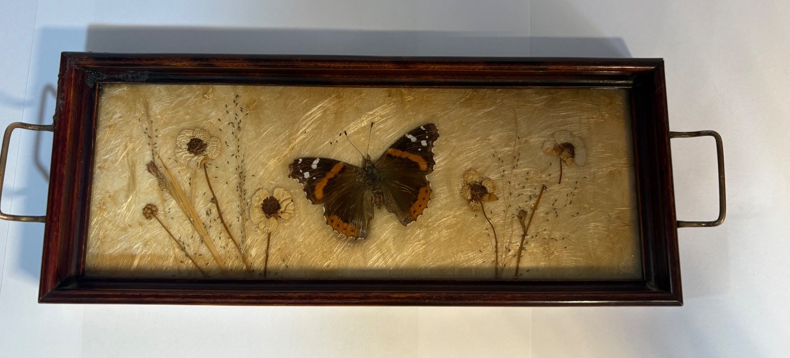 Real Butterfly Dried Flower Decorative Tray - Framed Botanical Display (11.5\