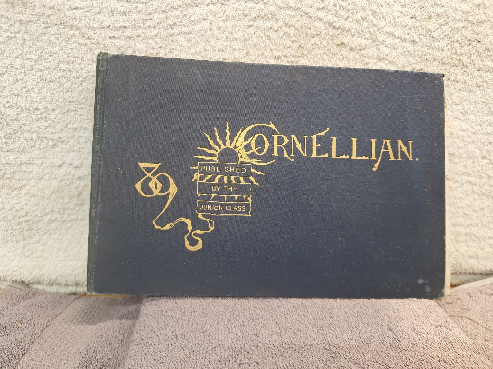 The Cornellian 1889 Cornell University Yearbook Ithaca, NY The Cornellian 1889 Cornell University Yearbook Ithaca, NY