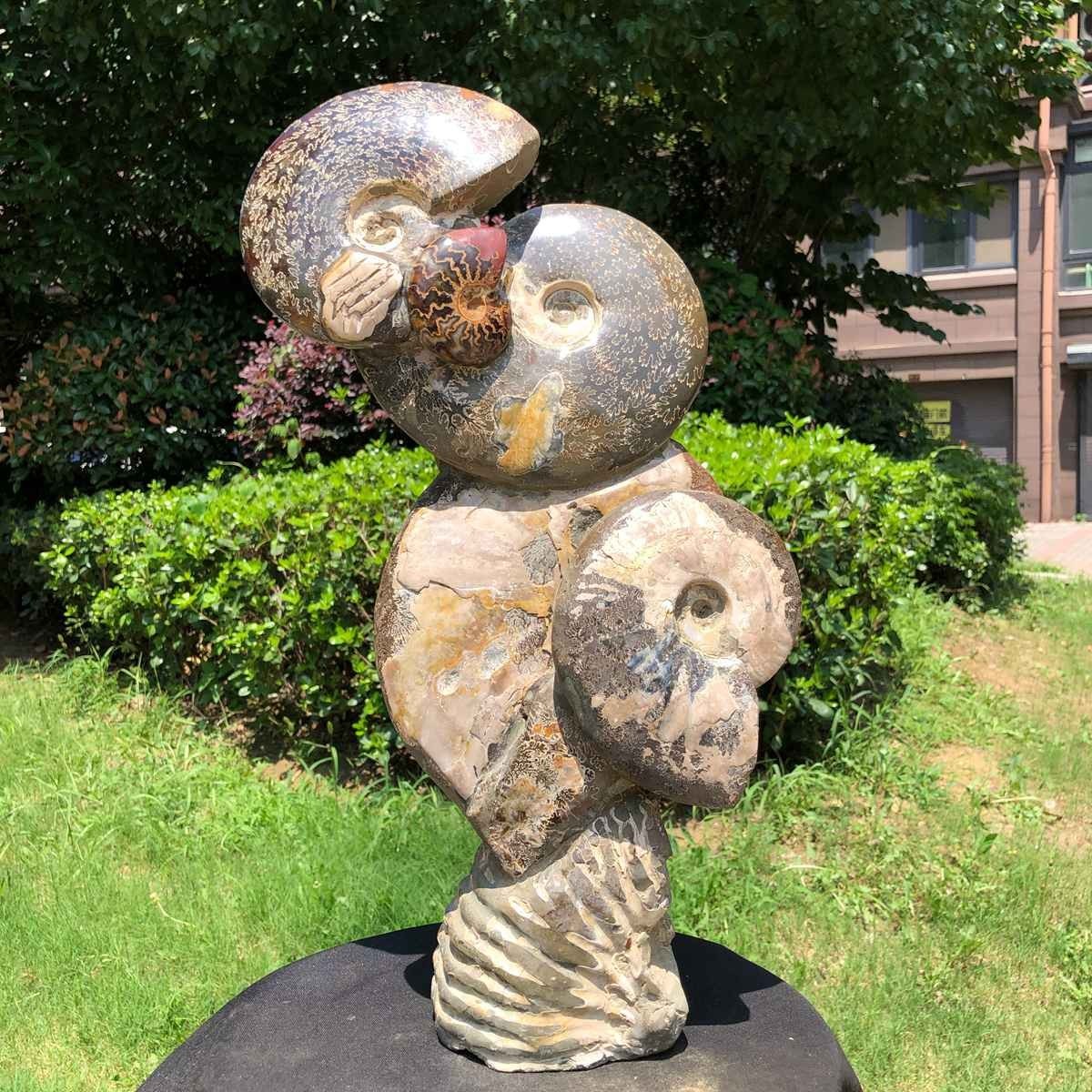 19.16LB Large Natural Beautiful Ammonite Fossil Conch Crystal Specimen Healing