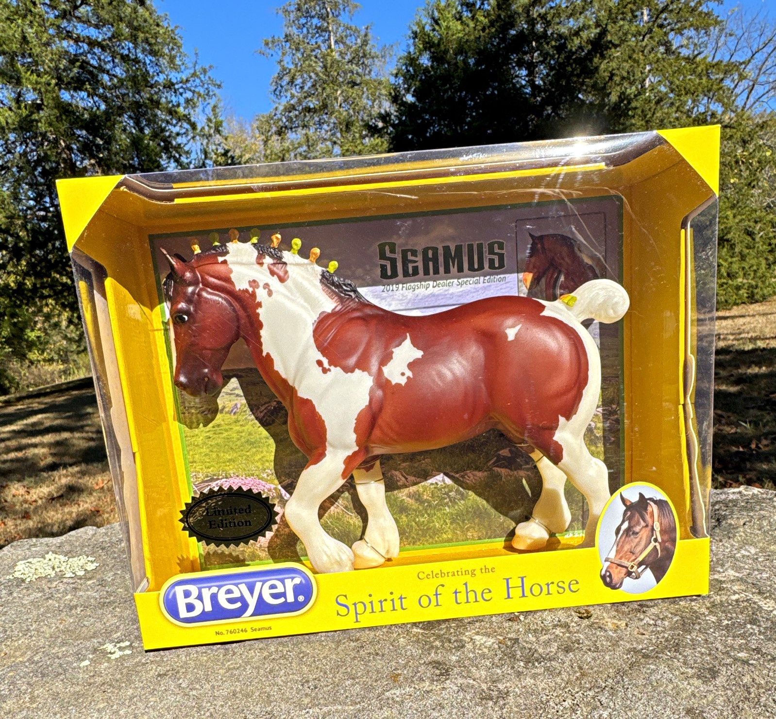 Breyer “Seamus” 2019 Flagship Dealer Special Edition