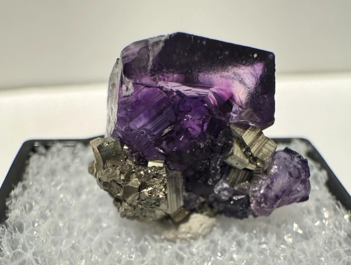 Purple Fluorite & Pyrite, Ojuela Mine, Mapimi, Durango, Mexico