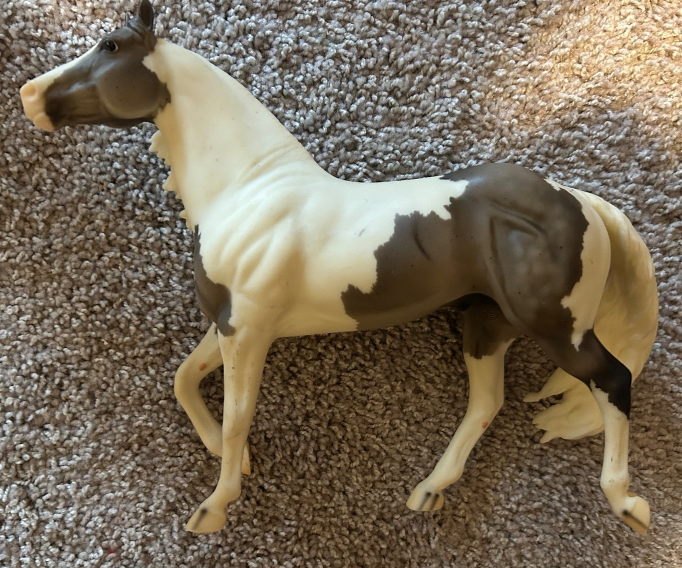 Breyer Sierra Blanco 1184 Gray Pinto Traditional Collector\'s Choice 2007