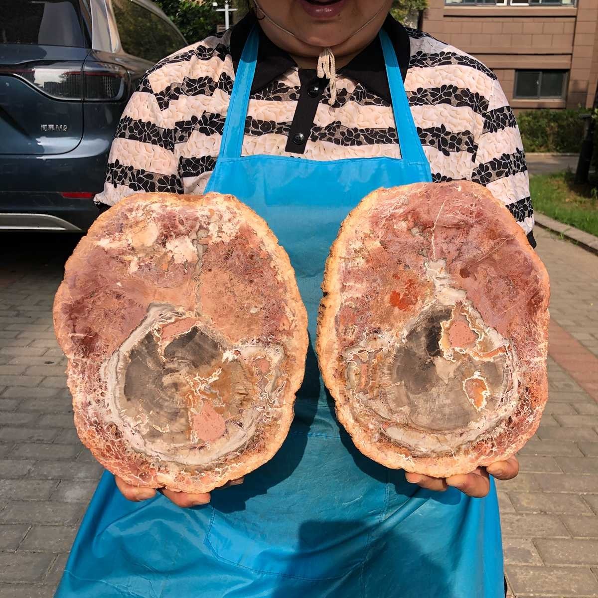 2pcs 6.93LB Natural Petrified Wood Crystal Fossil Slice Crystal Specimen 6168