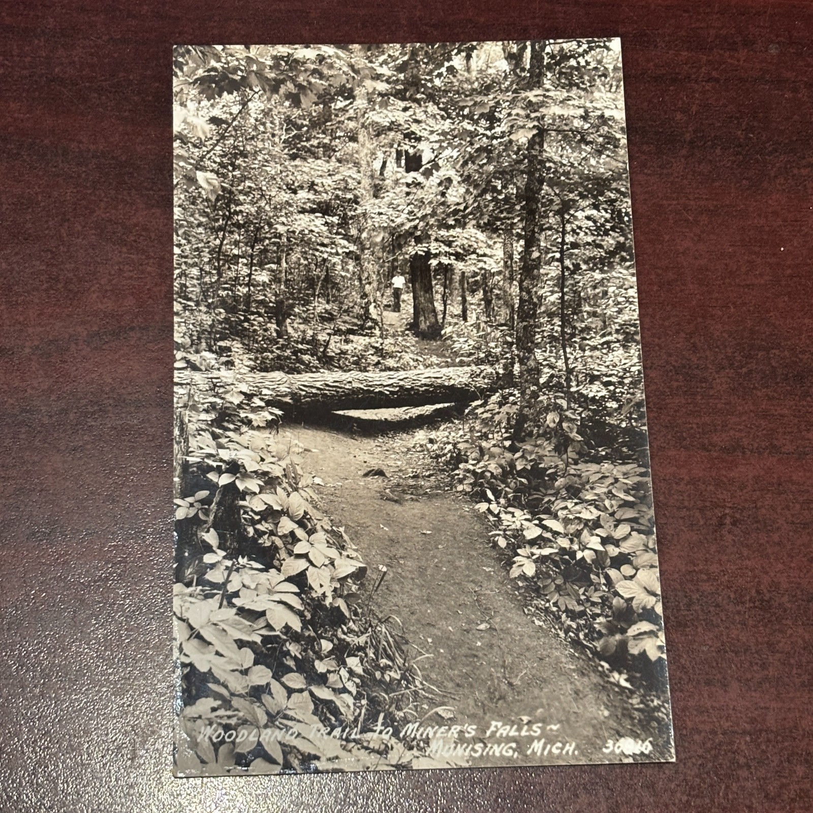 Vintage Postcard RPPC Real Photo Munising Michigan Vintage Postcard RPPC Real Photo Munising Michigan