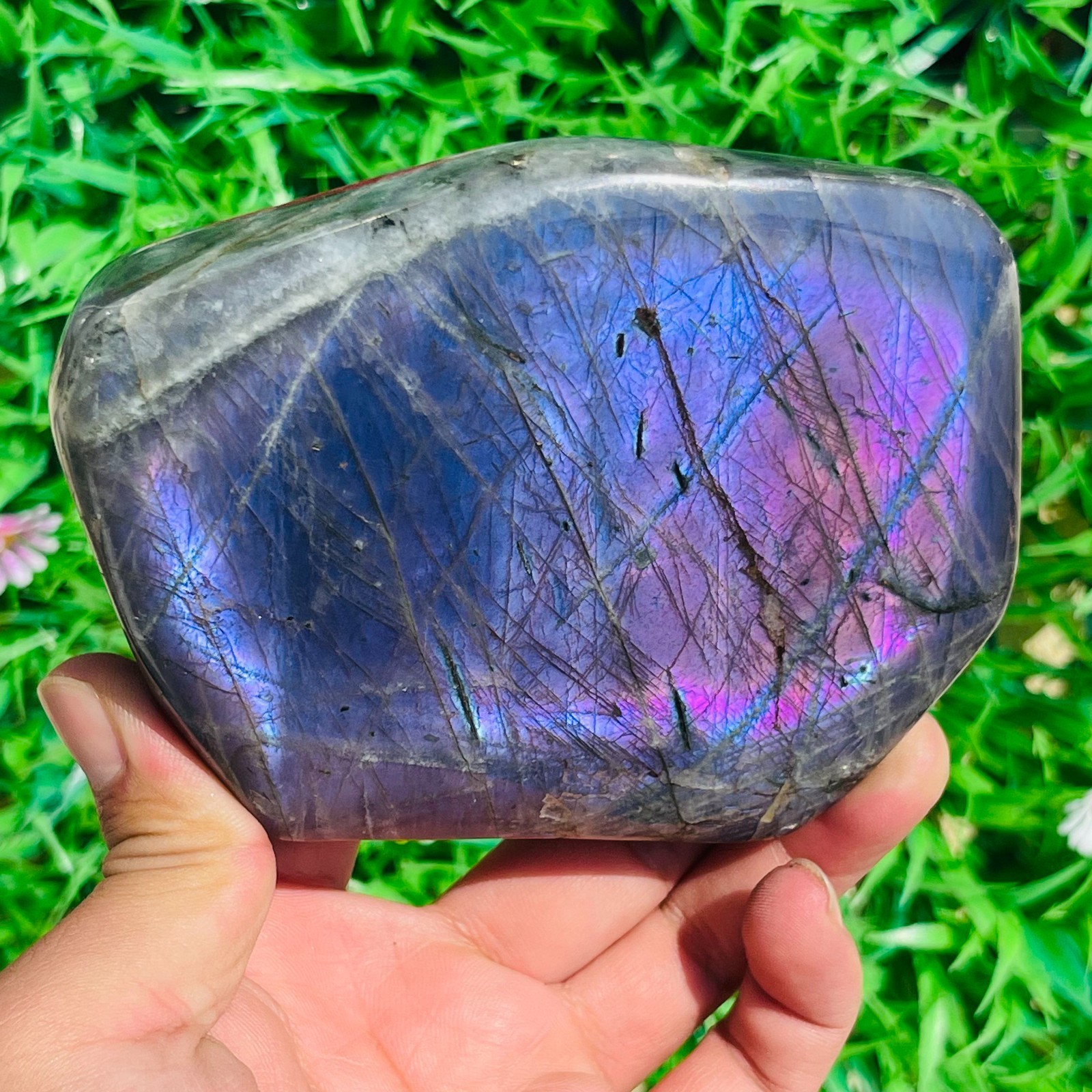 849g Natural Rare Purple Labradorite Quartz Crystal Mineral Specimen Healing