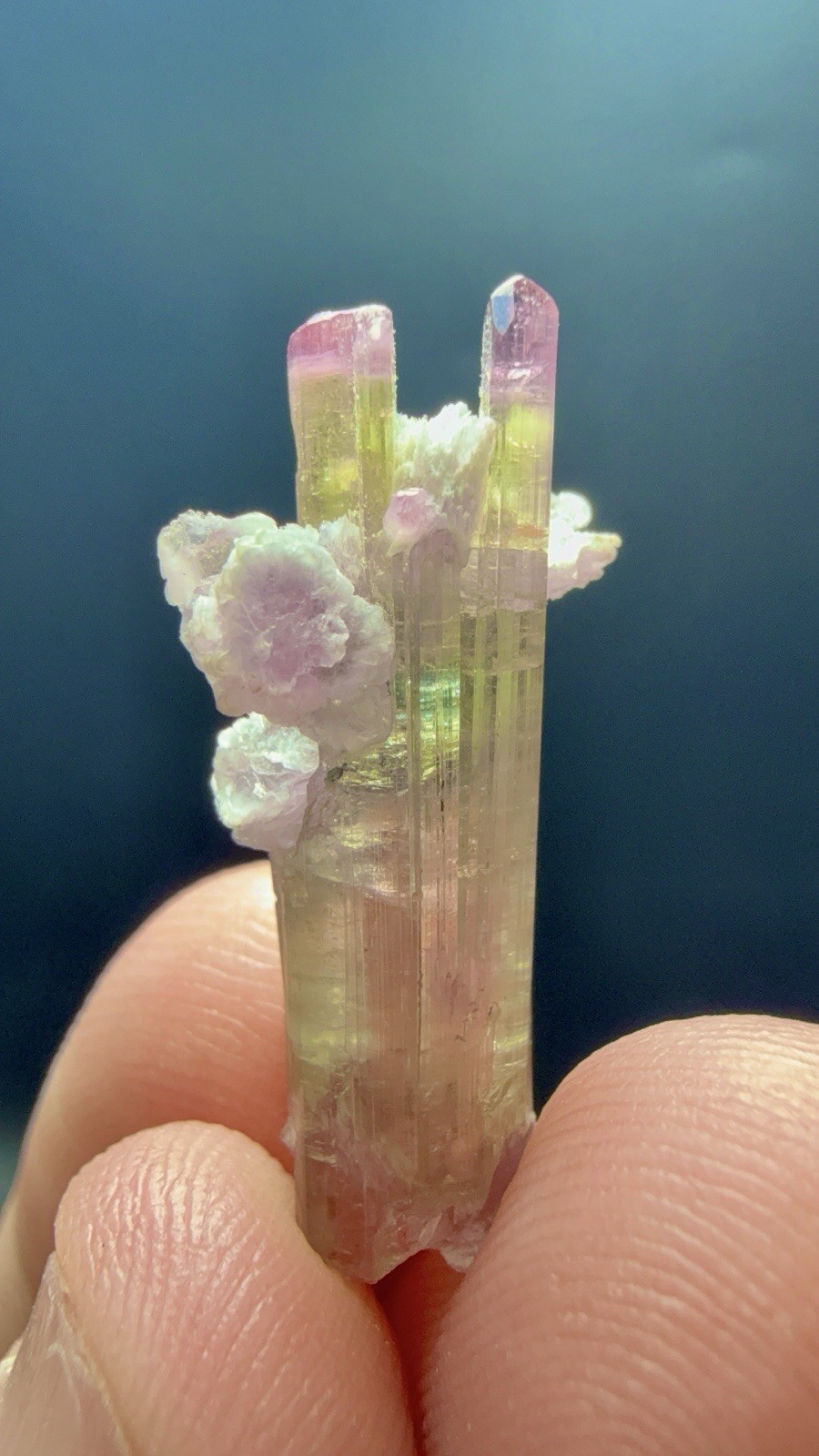 15.60 Carats An Outstanding Beautiful Bi Colour  Terminated Tourmaline Crystal