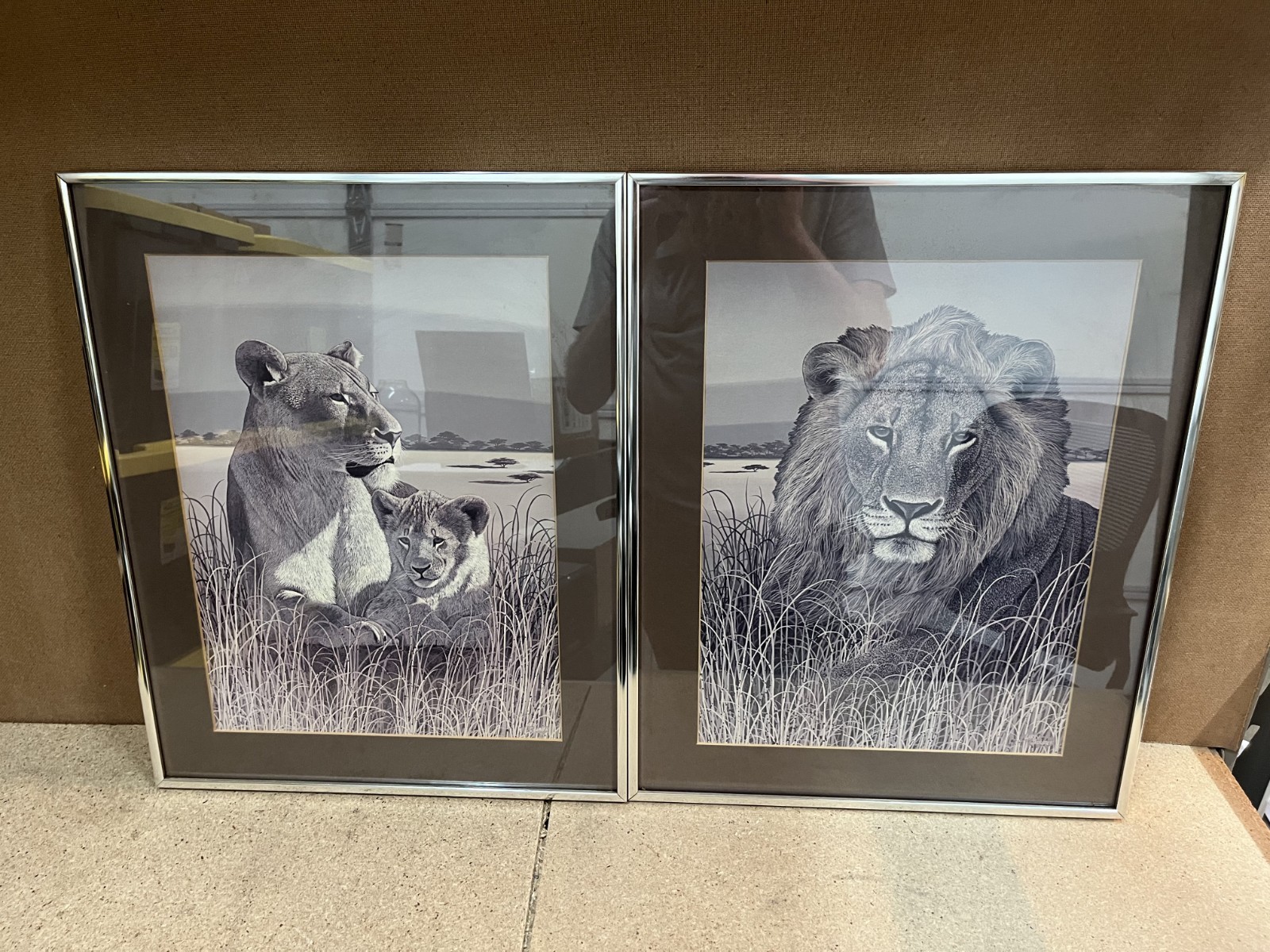 Set Of 2 - Vintage Lion And Cub Framed Print Larry Jacobsen Africa Jungle