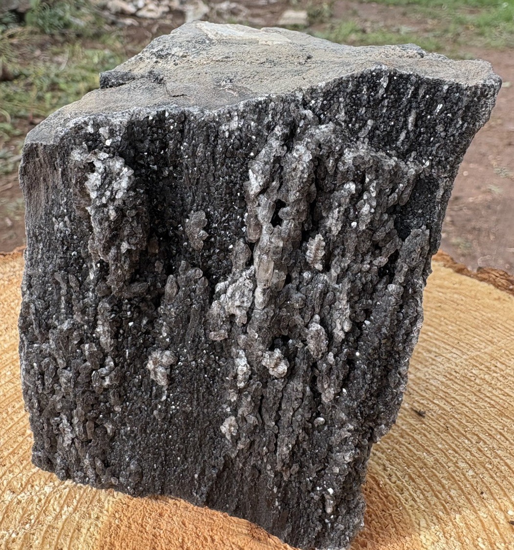 ☘️RR⛏️: Rare Fire Layer Woodworthia Petrified Wood Druzy Smoky NE AZ. 2.25 Lb 🔥