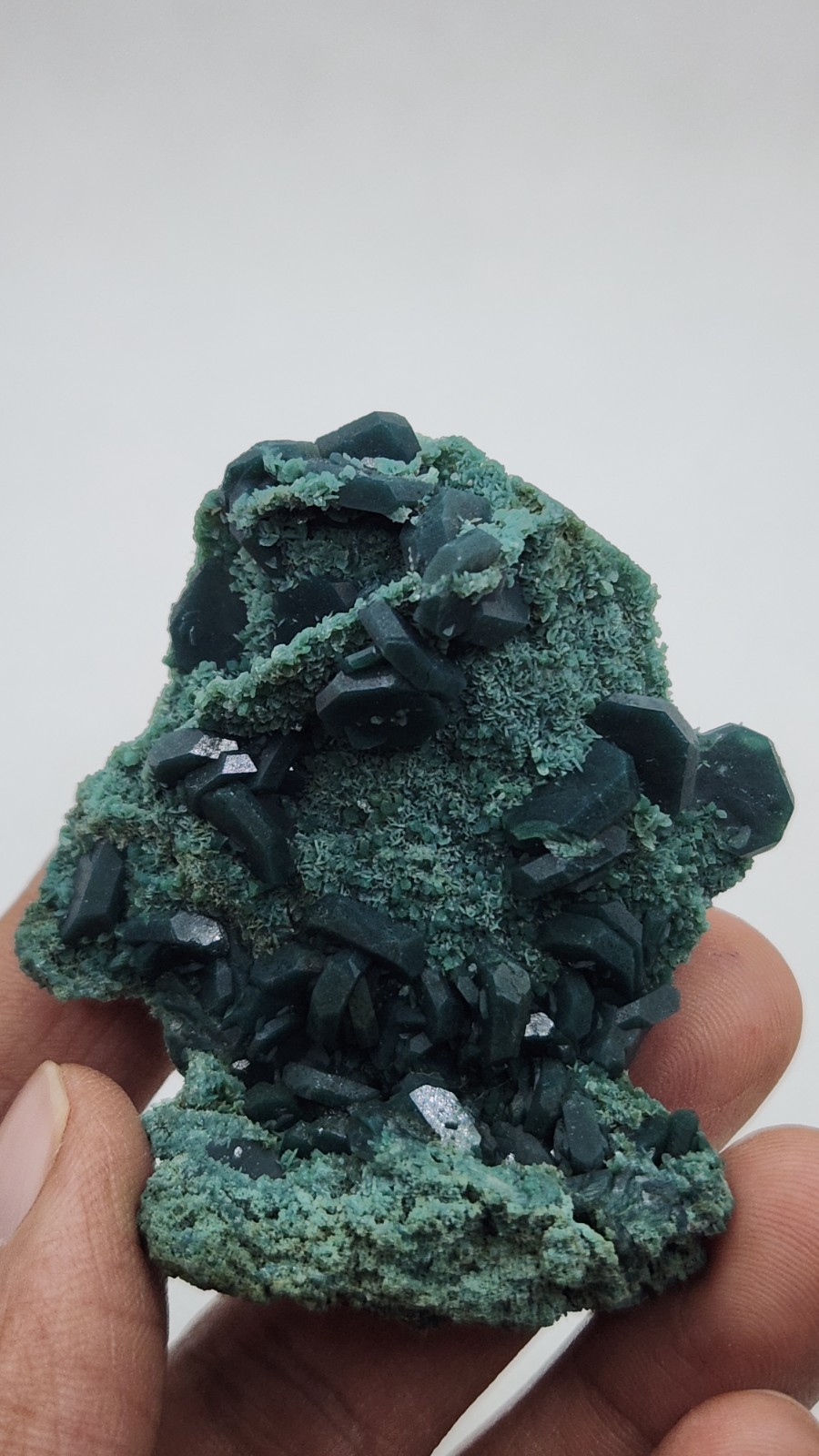 Marshy green tabular apophyllite