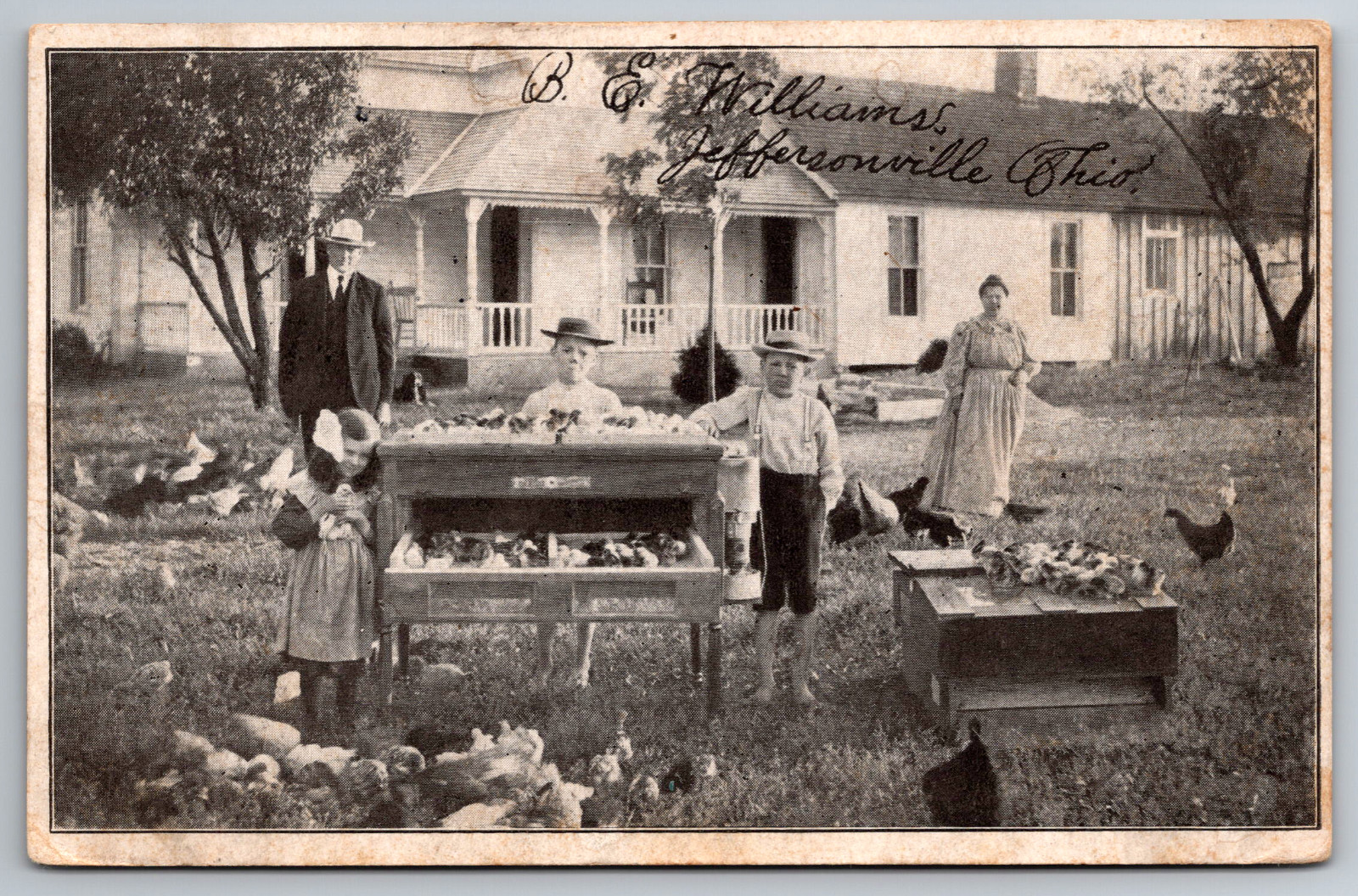 Advertising Postcard Gem Incubators and Brooders Trotwood Ohio c1910 Chicks Kids