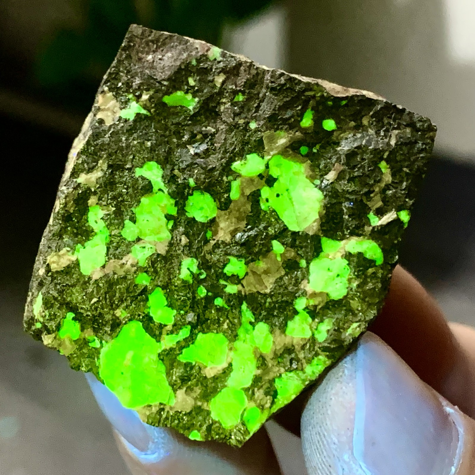 64G Natural willemite with Hyalite Mineral Specimen CRYSTAL UV Fluorescence