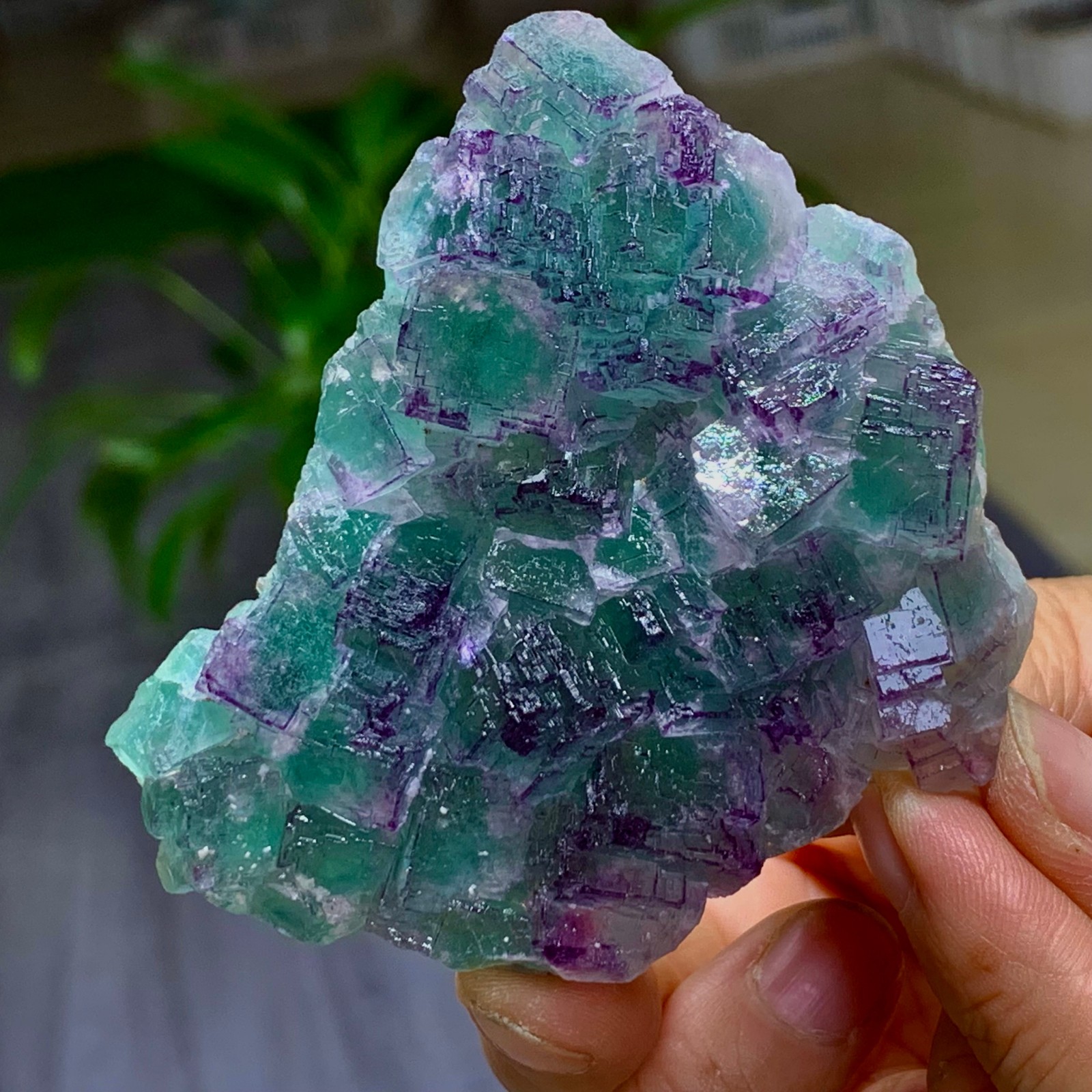 130G Natural purple  green fluorite cubic Crystal Mineral Specimen/China