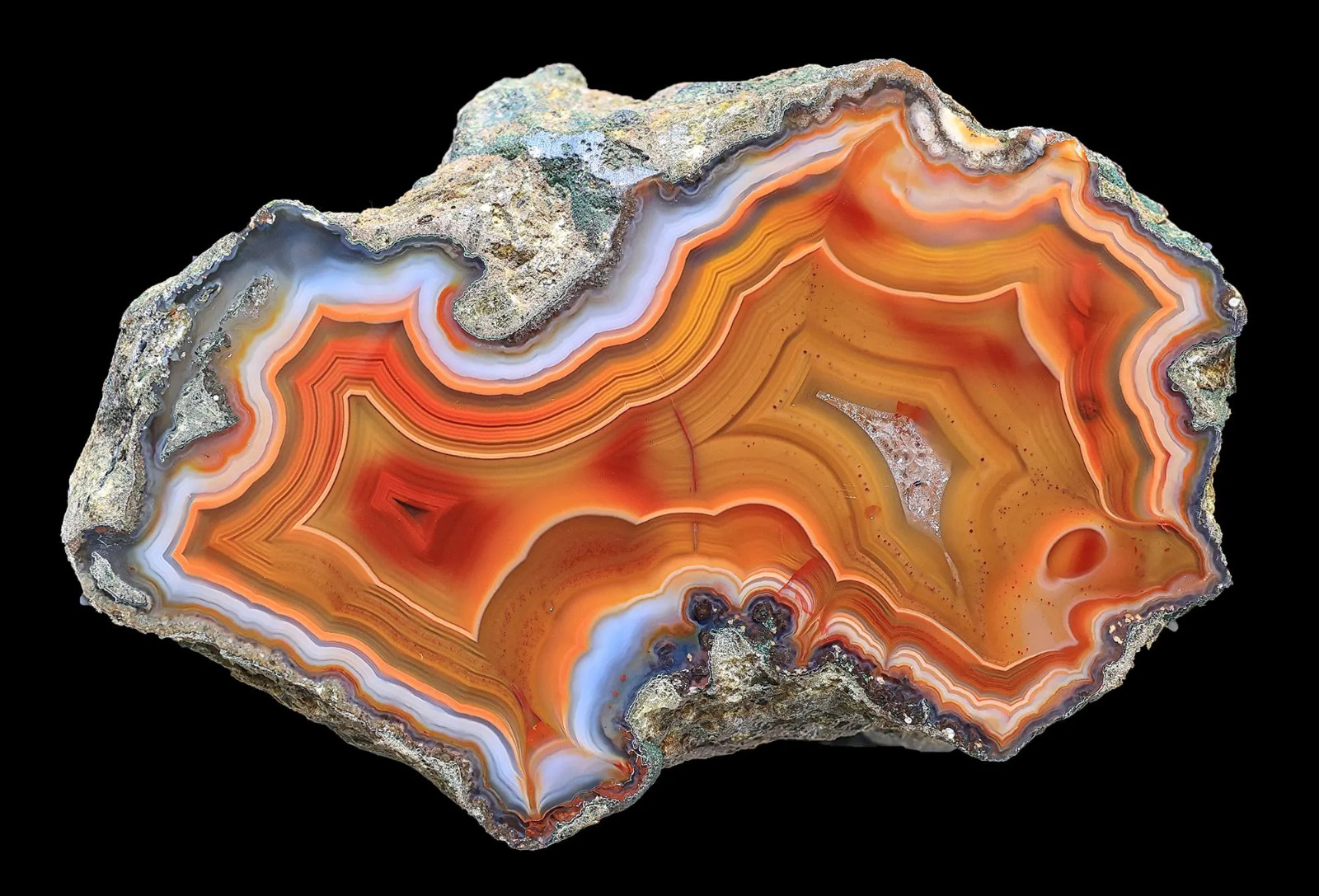 Exceptional Rare Quality Condor Agate Tight Banding and Fantastic Contrast