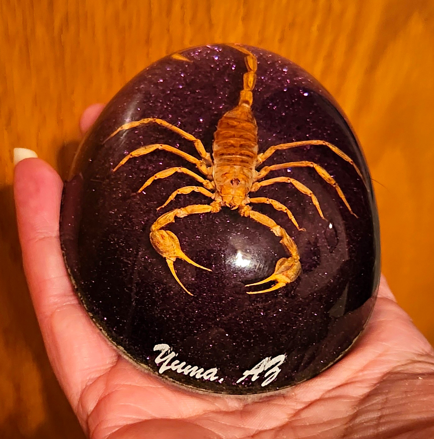 Vintage Real Scorpion Lucite Paperweight Purple Glitter Dome Specimen Yuma AZ