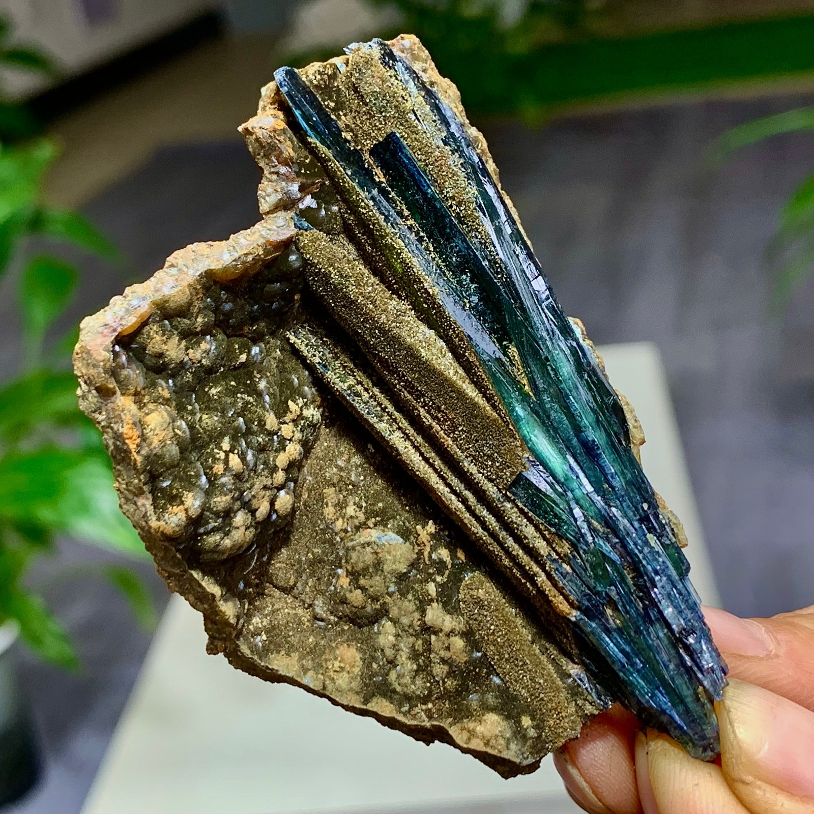 55G Natural Vivianite ludlamite Quartz Crystal Mineral Samples /Brazil