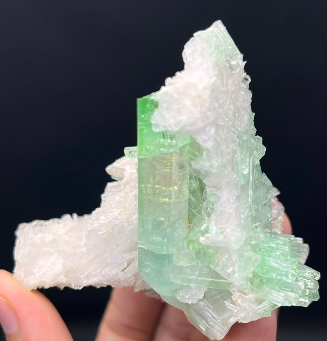 Exquisite Tourmaline On Albite Collectors or Resellers