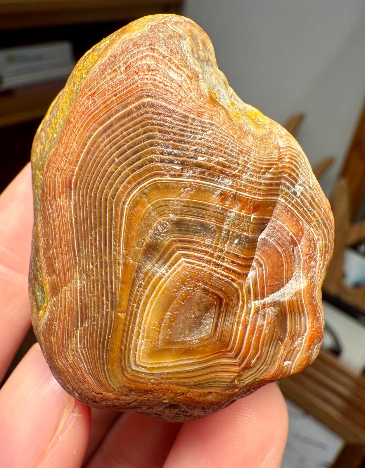 3.6oz LAKE SUPERIOR AGATE KILLER BANDED FACE, COLORFUL HUSK GREAT AGATE