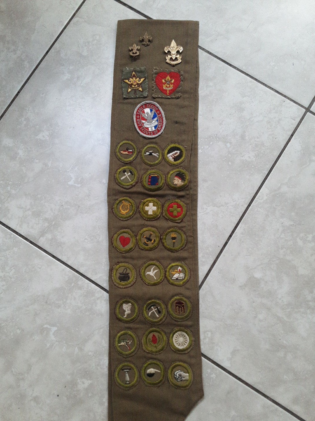 41  1950's Type E F Merit Badge Botany Railroad Zoology Forestry BSA Sash 3 PINS