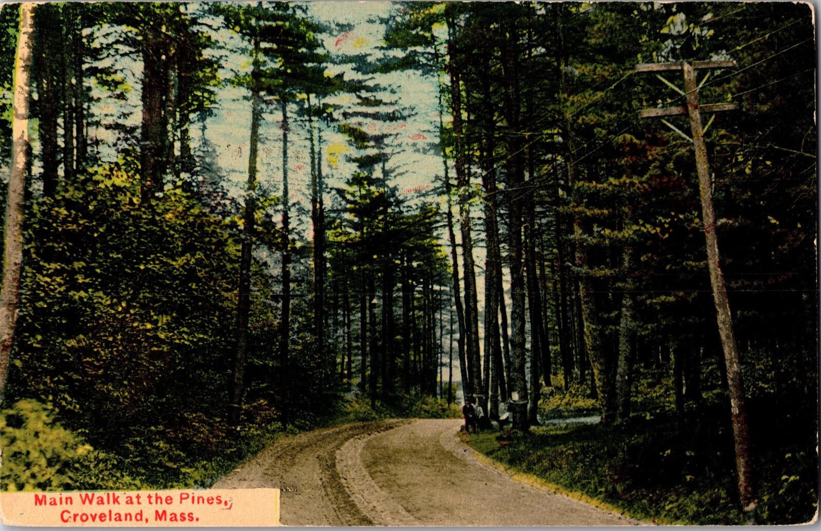 Main Walk at the Pines, Groveland MA Vintage Postcard K65