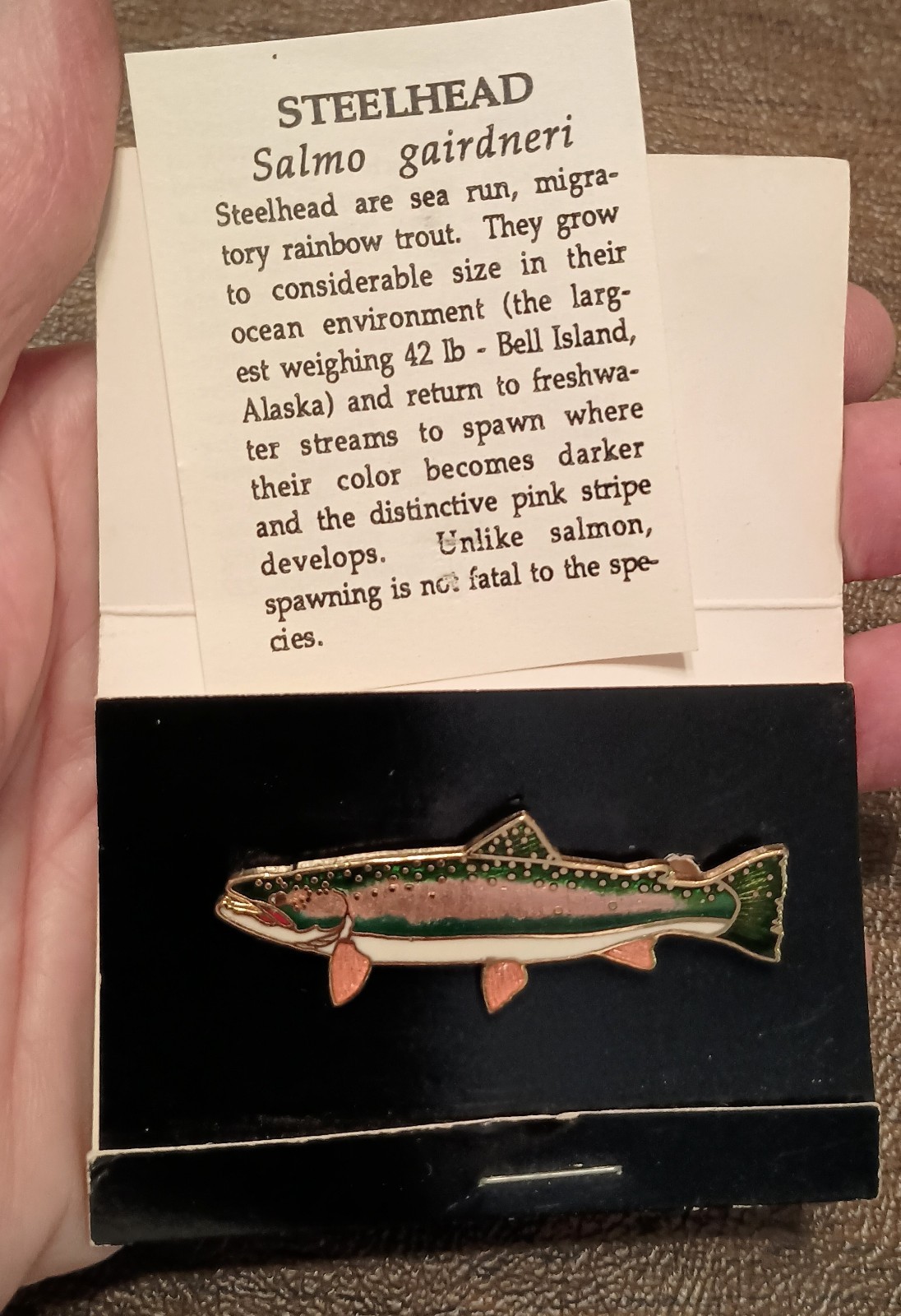 NEW OS Vtg Wm Spear Design Steelhead Salmon Enamel Pin Brooch Alaska Rare 1980s