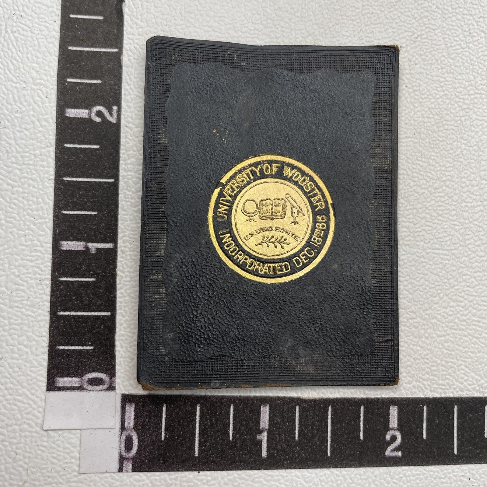 Vtg 1910s UNIVERSITY OF WOOSTER Tobacco Leather Premium Patch 87N7