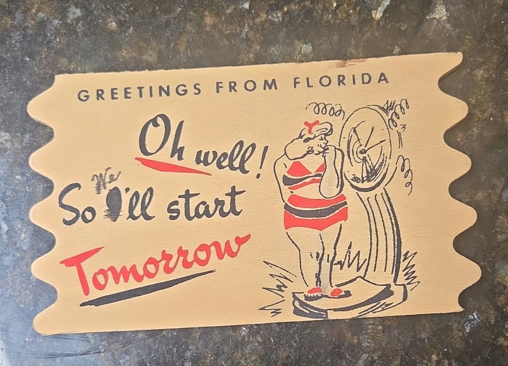 Vintage Florida Wooden Post Card