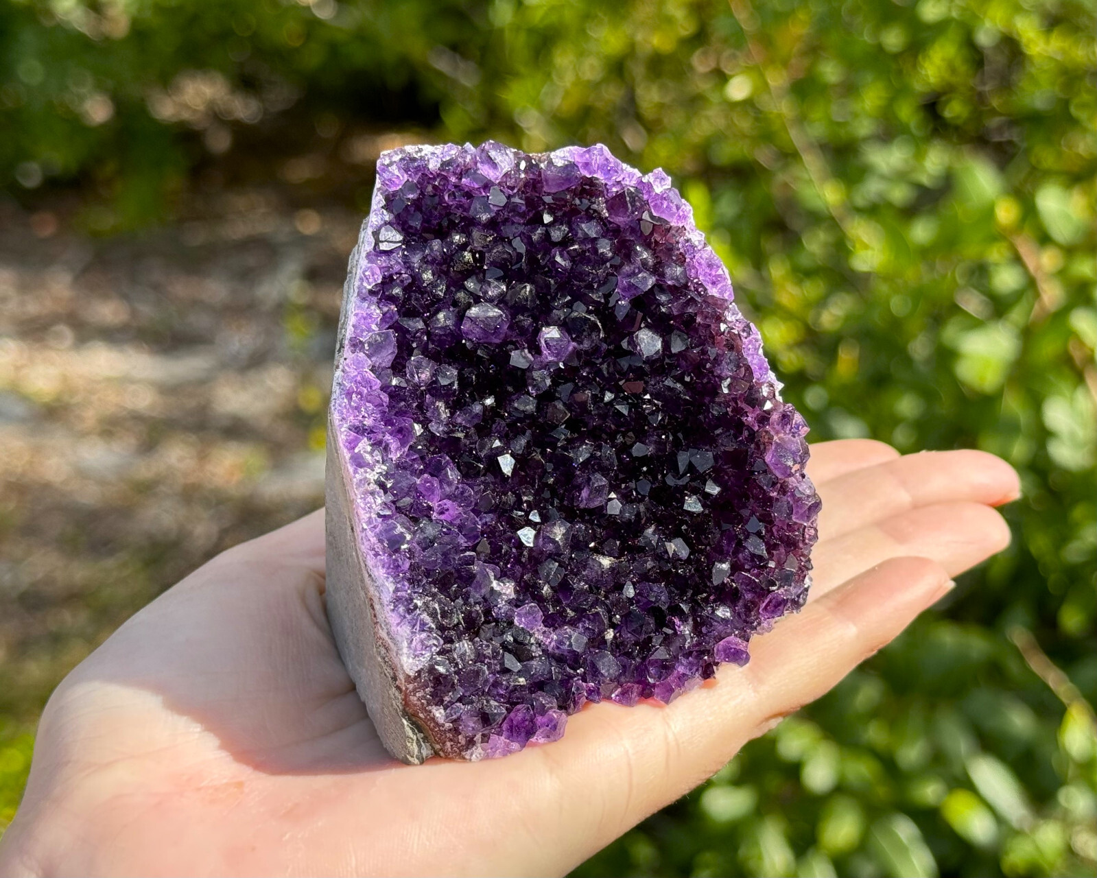 Amethyst Cut Base Clusters 8 - 11 oz Large Crystal Geodes ('A' Grade, Decor)