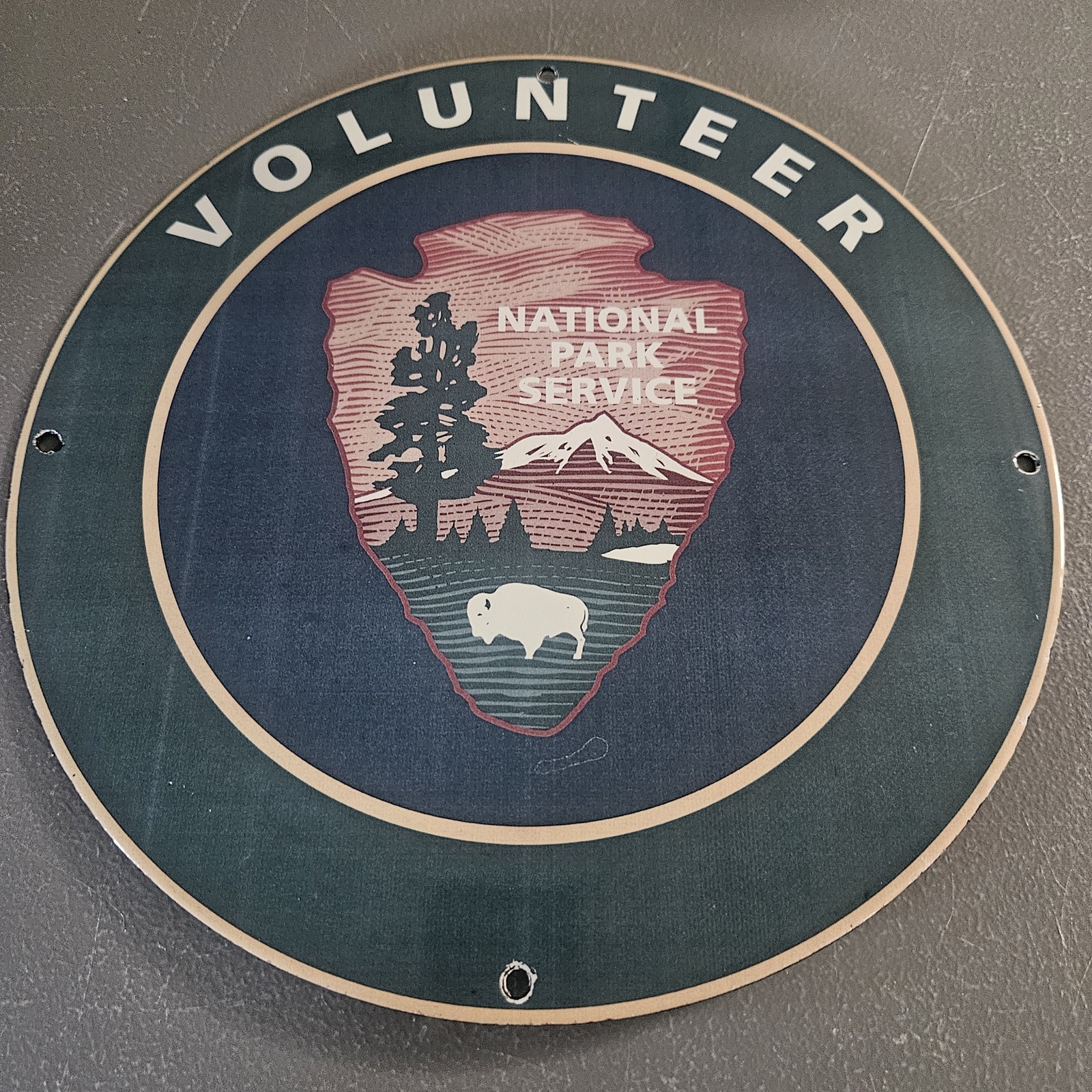 VINTAGE NATIONAL PARK SERVICE 12\