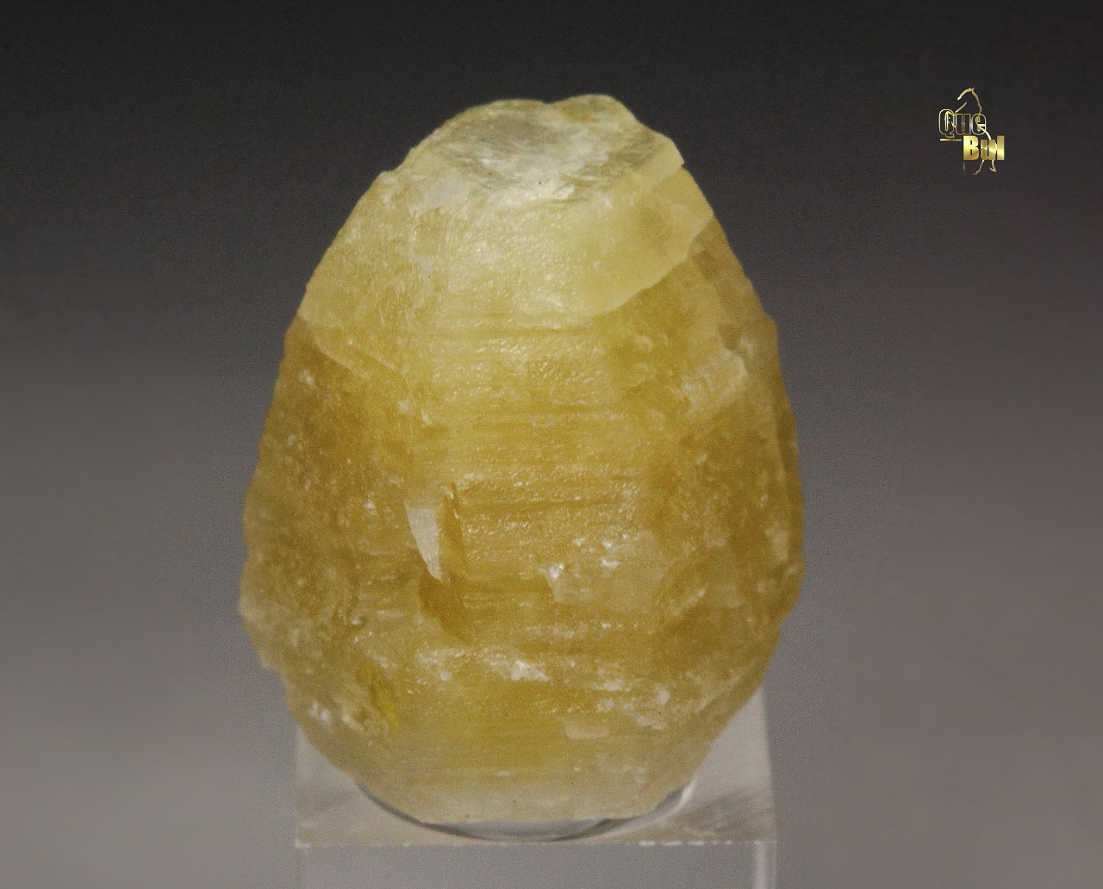 QUEBUL FINE MINERALS - WELOGANITE -  Francon quarry, Canada